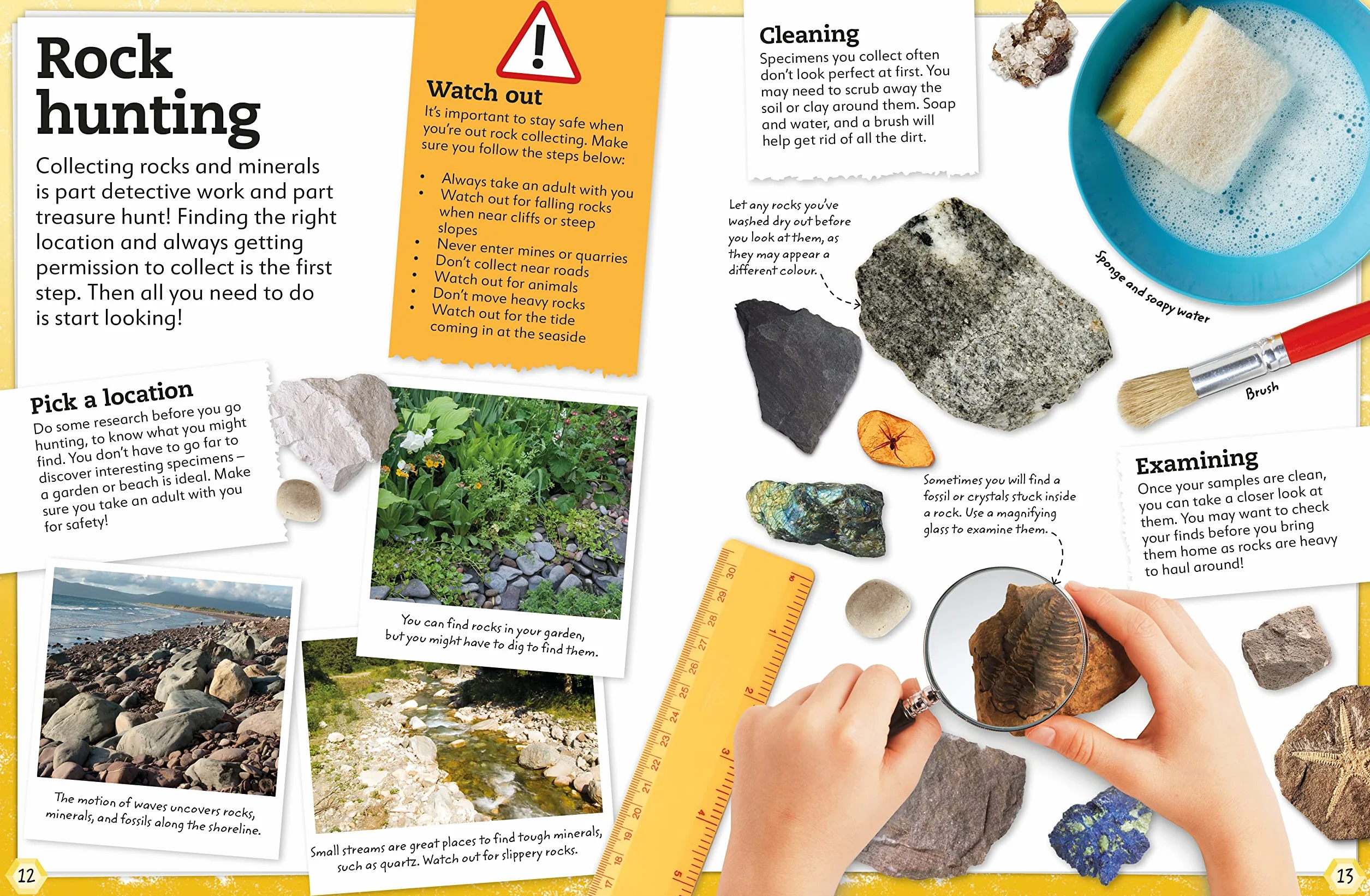 My Book of Rocks and Minerals: Things to Find, Collect, and Treasure