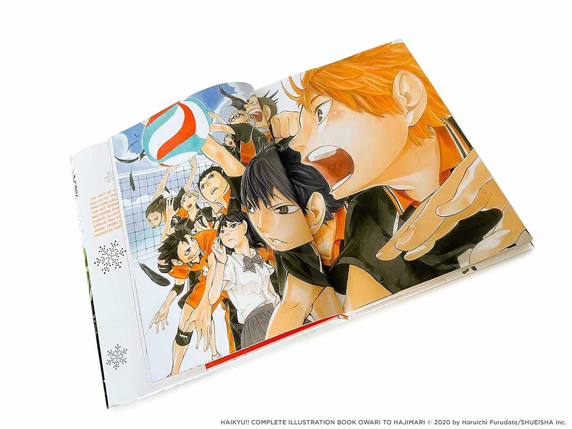 The Art of Haikyu!!: Endings and Beginnings