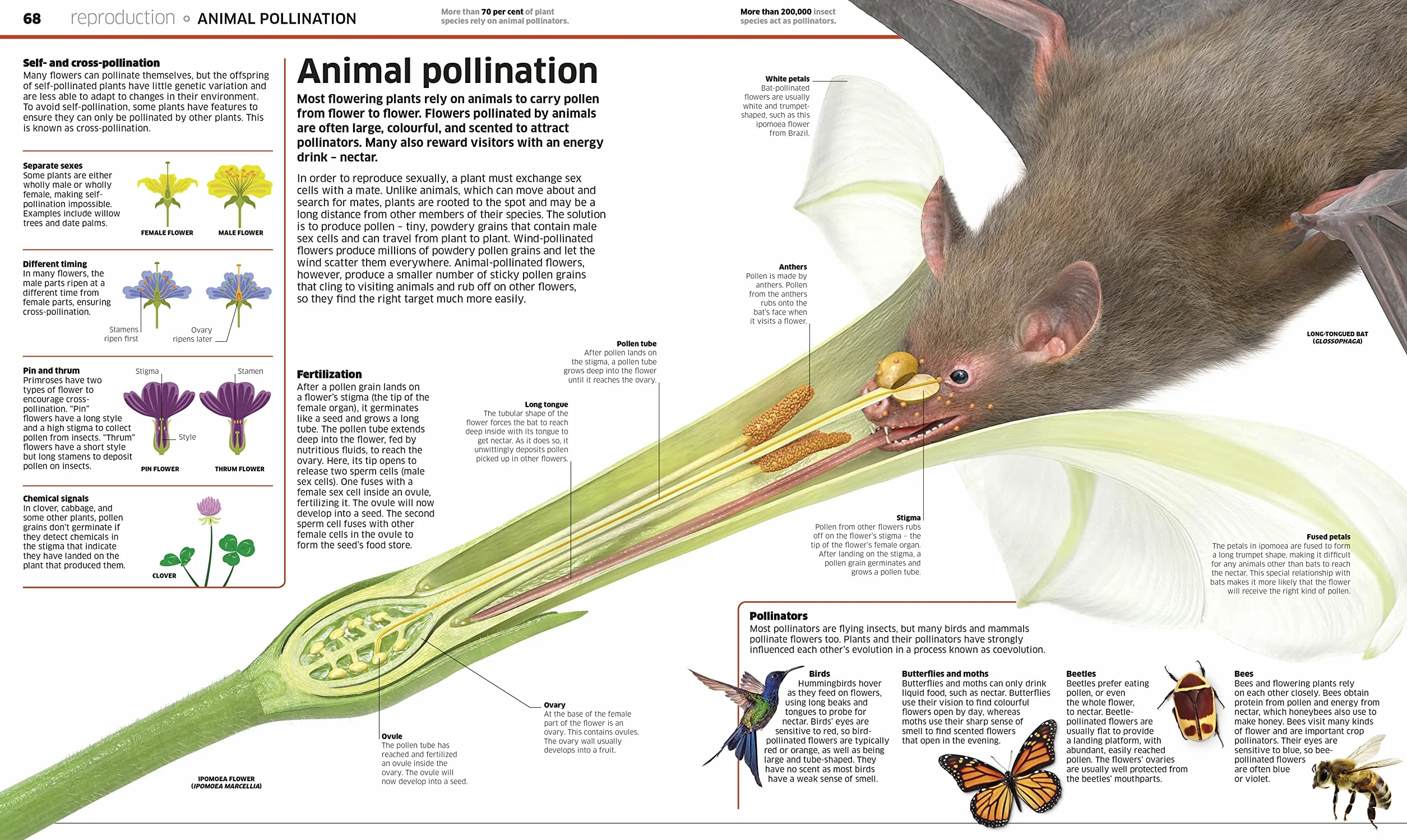 Knowledge Encyclopedia Plants & Fungi!: Our Growing World as You've Never Seen It Before