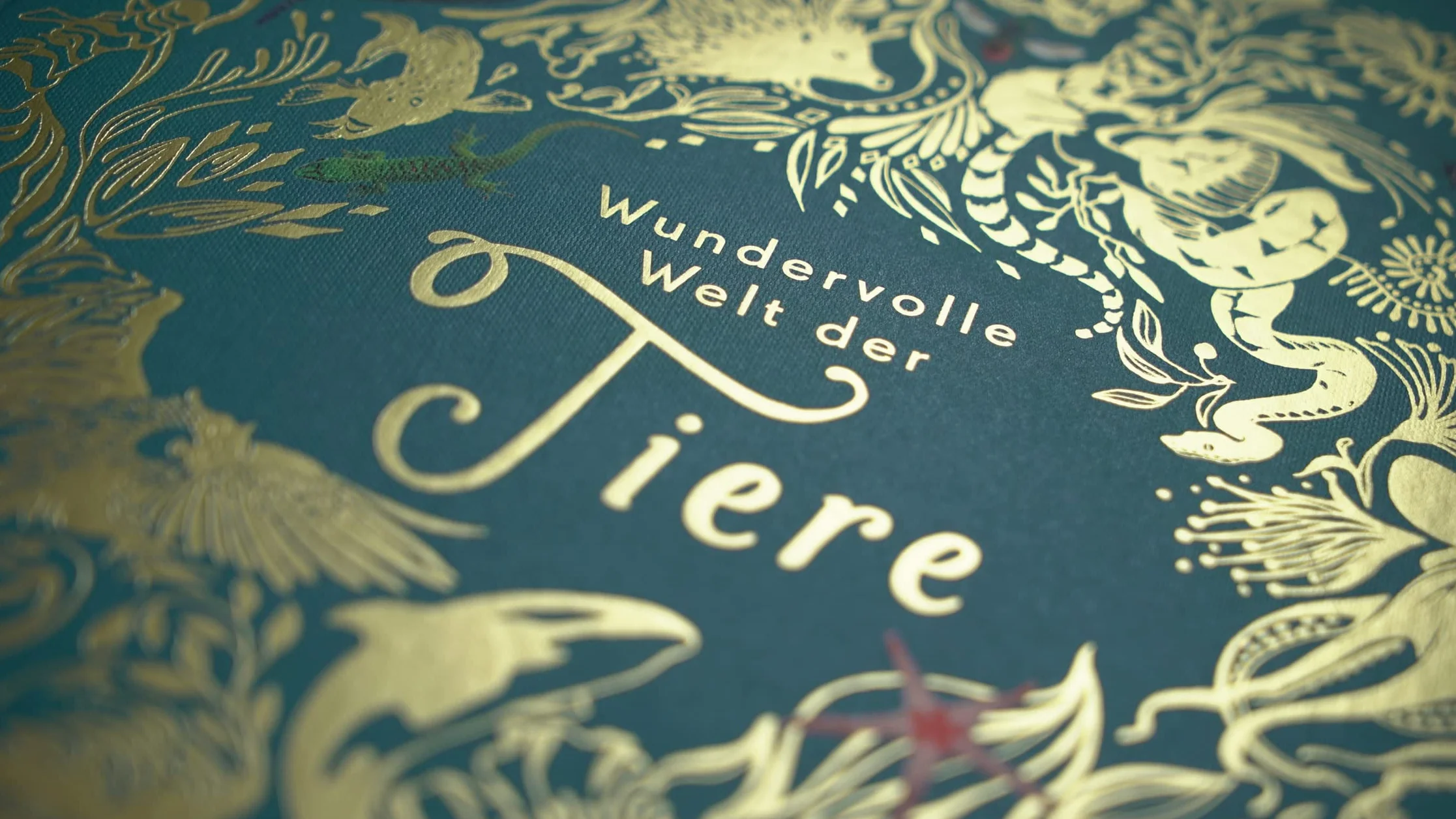 Wundervolle Welt der Tiere: Ein Tierbilderbuch für die ganze Familie. Hochwertig ausgestattet mit Lesebändchen, Goldfolie und Goldschnitt
