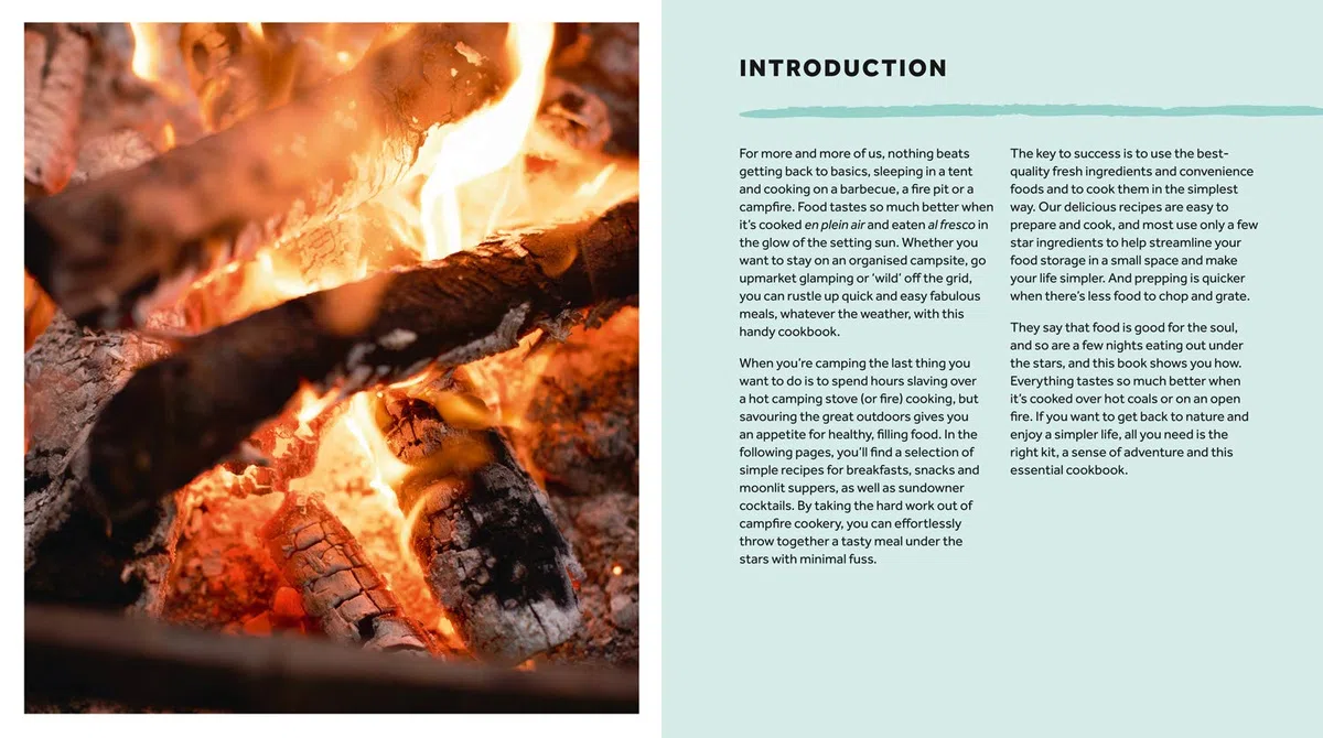 The Camping Cookbook: The ultimate outdoor cookbook guide with over 60 delicious recipes for adventurous food enthusiasts