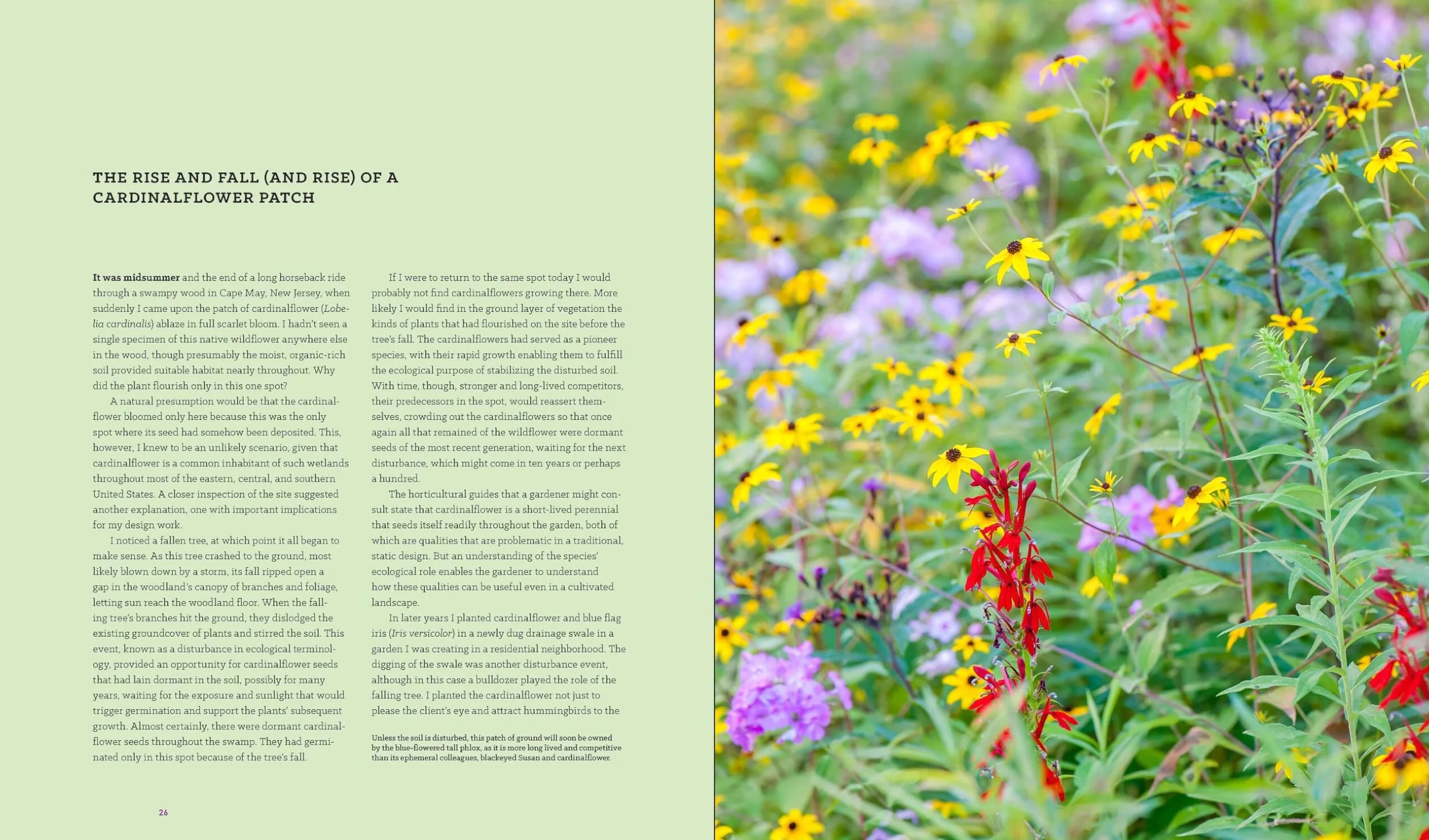 Garden Revolution: How Our Landscapes Can Be a Source of Environmental Change