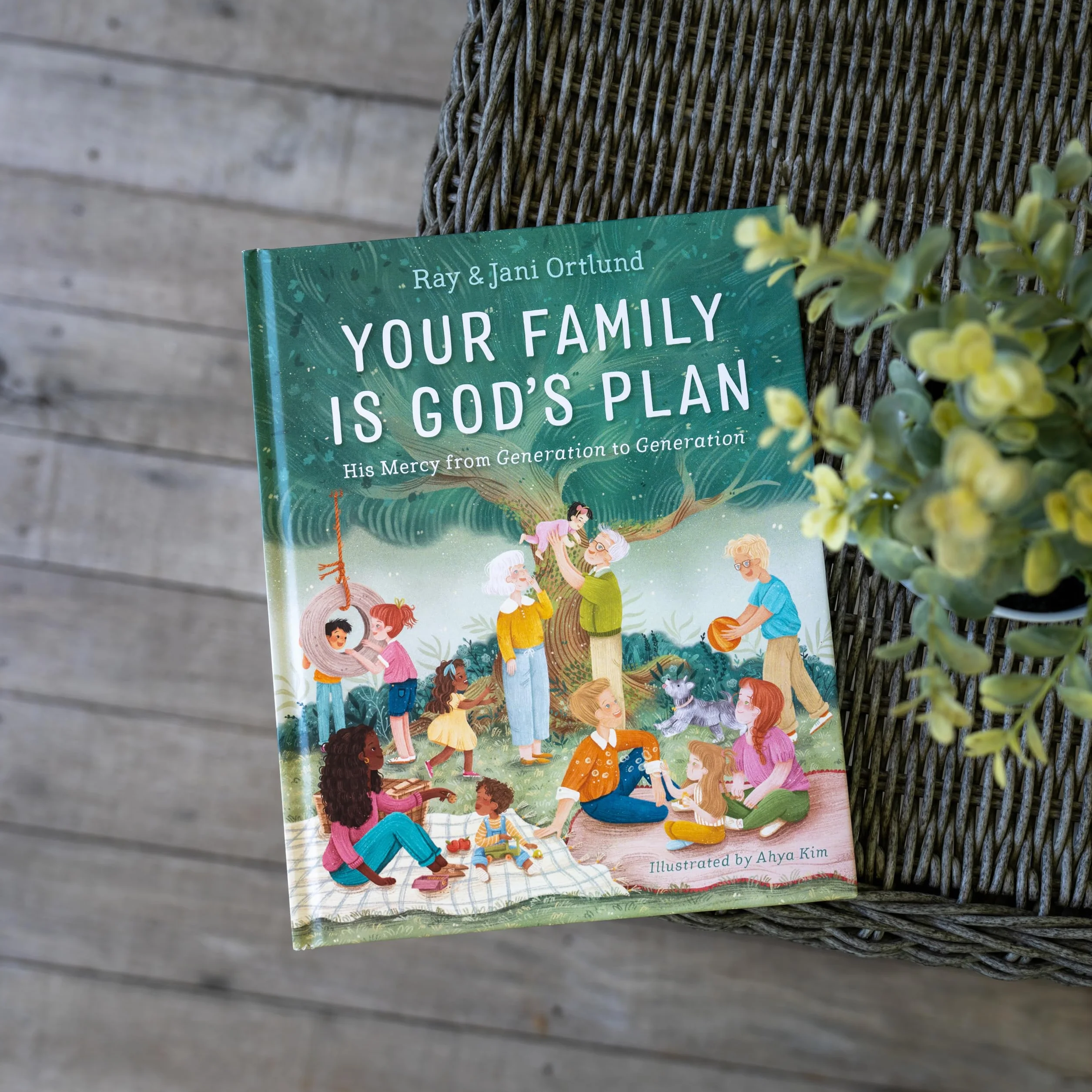 Your Family Is God's Plan: His Mercy from Generation to Generation