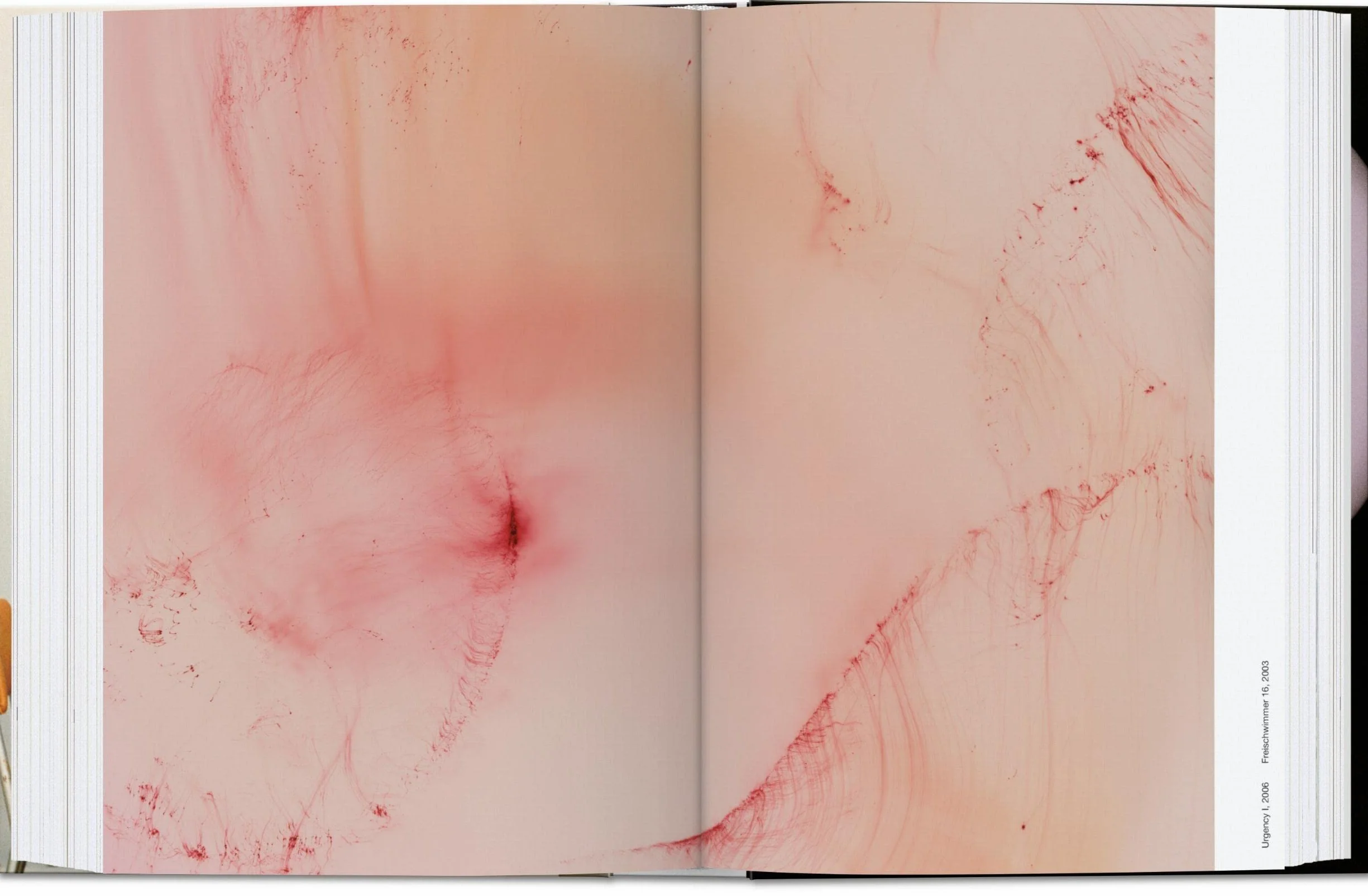 Wolfgang Tillmans. Four Books. 45th Ed.