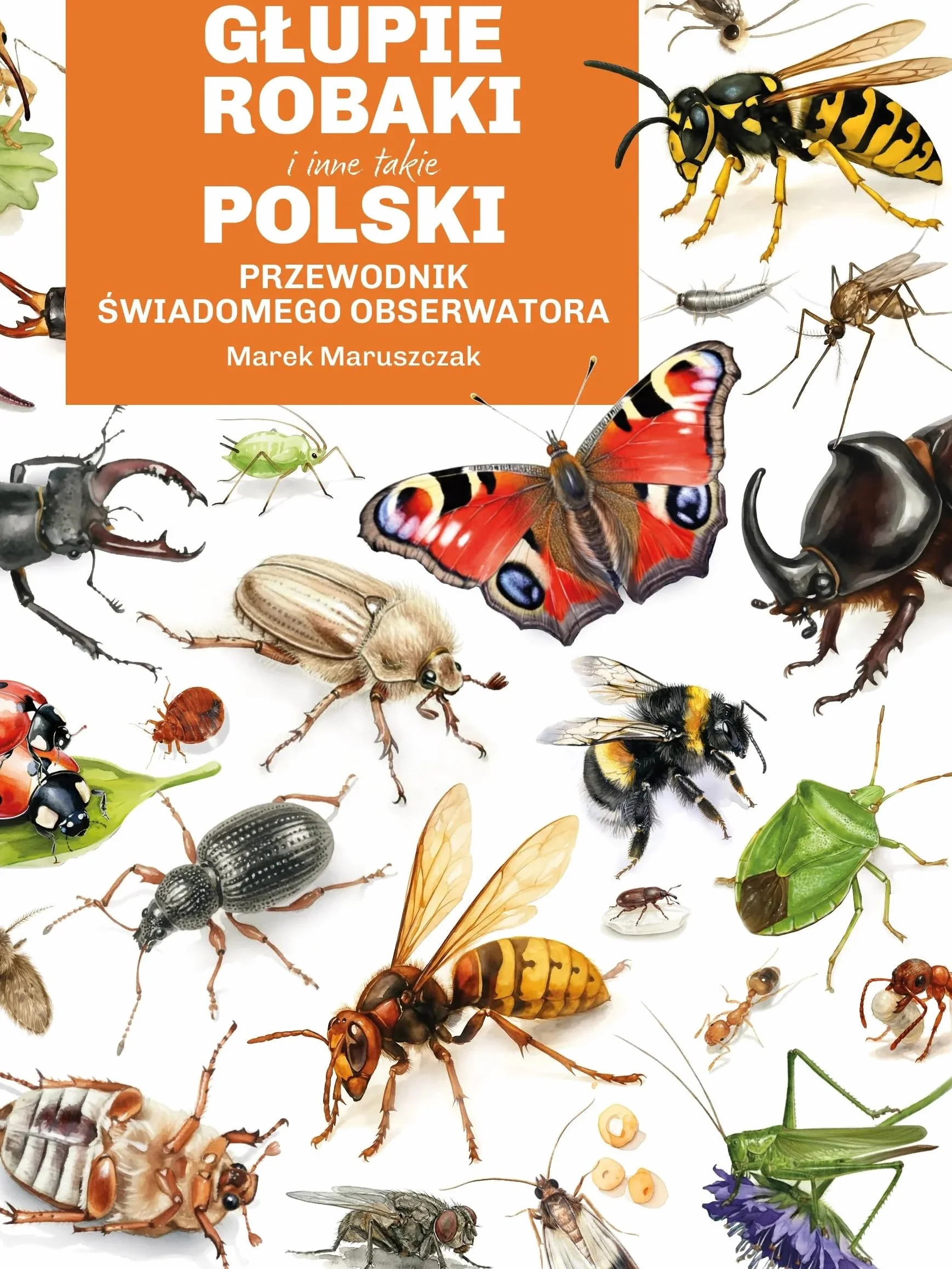 Głupie robaki i inne takie. Polski przewodnik świadomego obserwatora