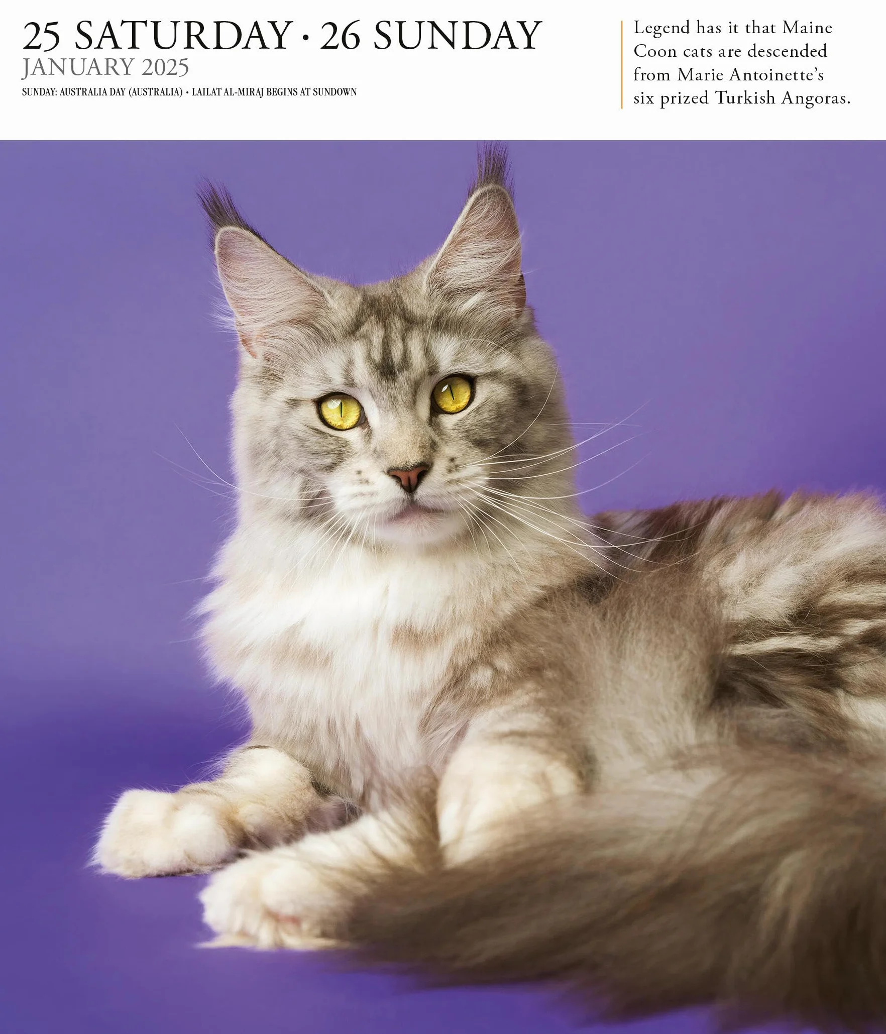 Cat Page-A-Day® Gallery Calendar 2025: A Delightful Gallery of Cats for Your Desktop