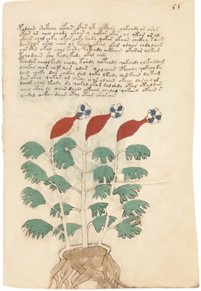 The Voynich Manuscript: Gesamtdarstellung aller Tafeln der illuminierten Handschrift (Deutsch/Englische Ausgabe)