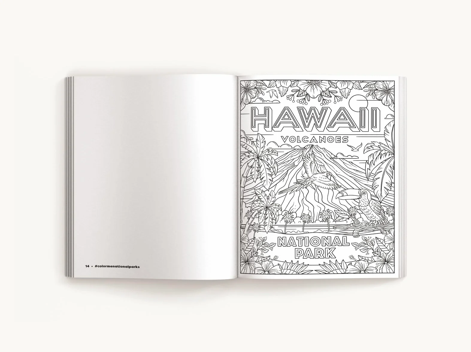 Color Me National Parks: An Adventurous Coloring Book