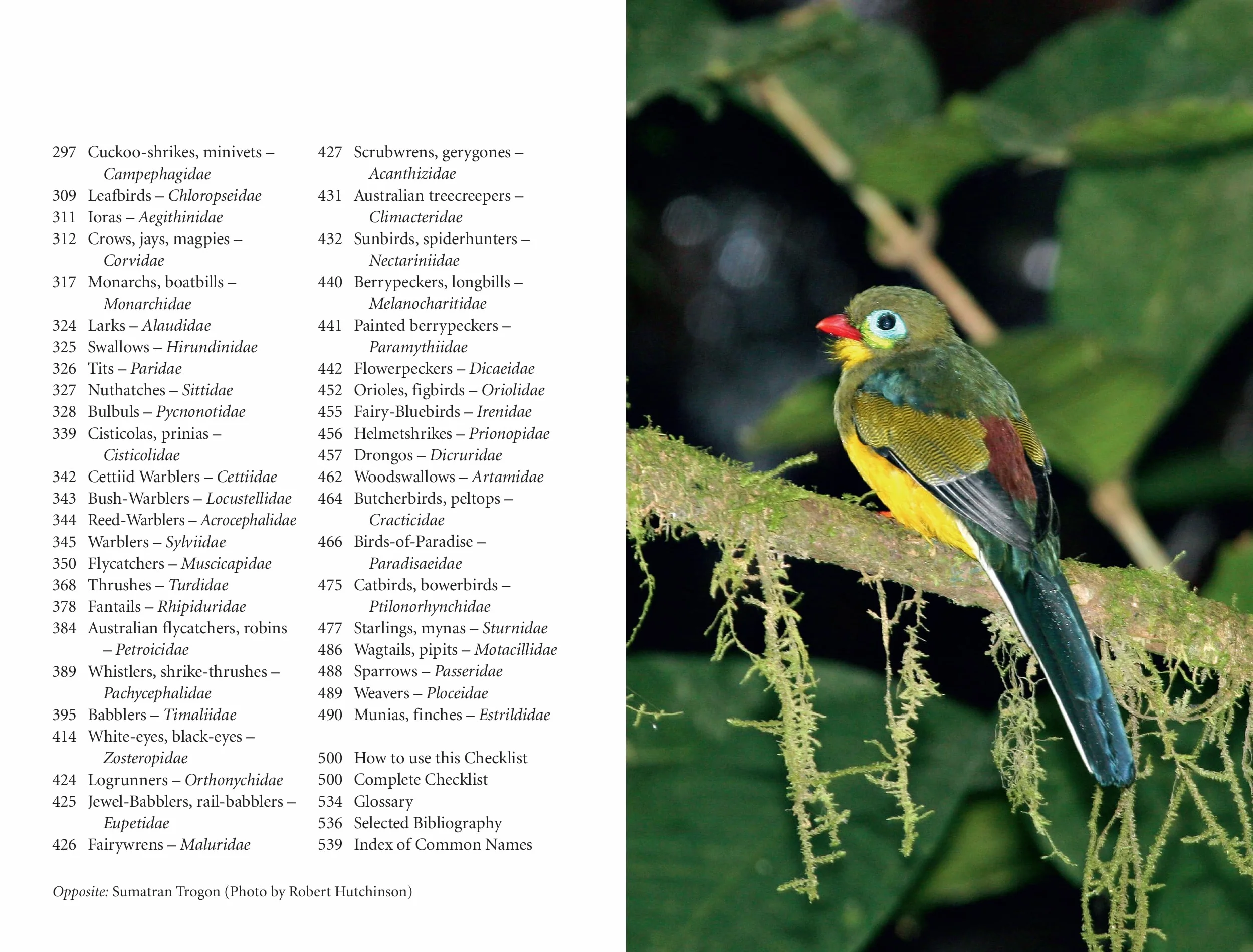 A Photographic Guide to the Birds of Indonesia: Updated Second Edition