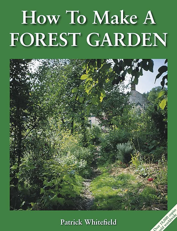 How to Make a Forest Garden