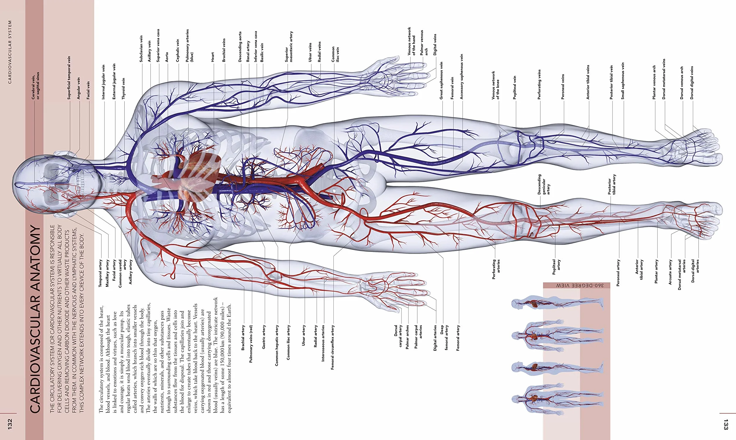 The Human Body Book