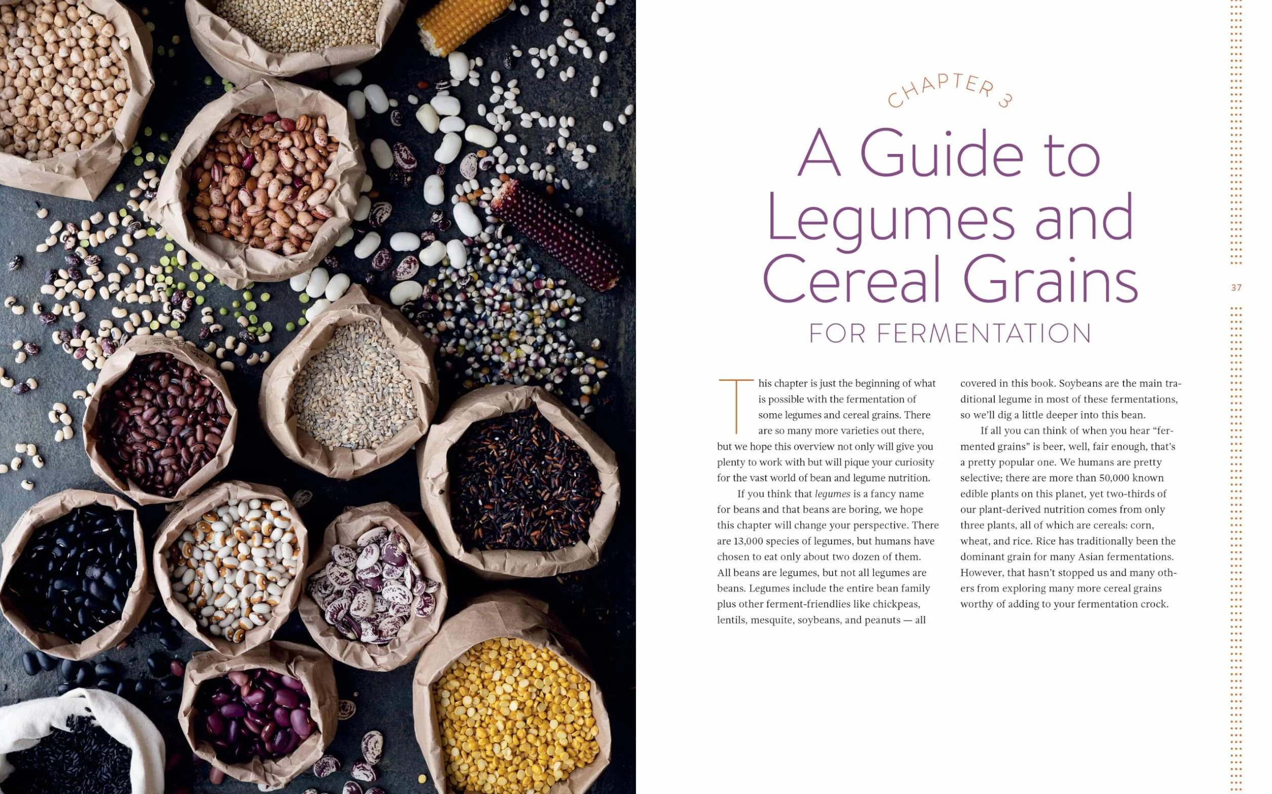 Miso, Tempeh, Natto & Other Tasty Ferments: A Step-By-Step Guide to Fermenting Grains and Beans