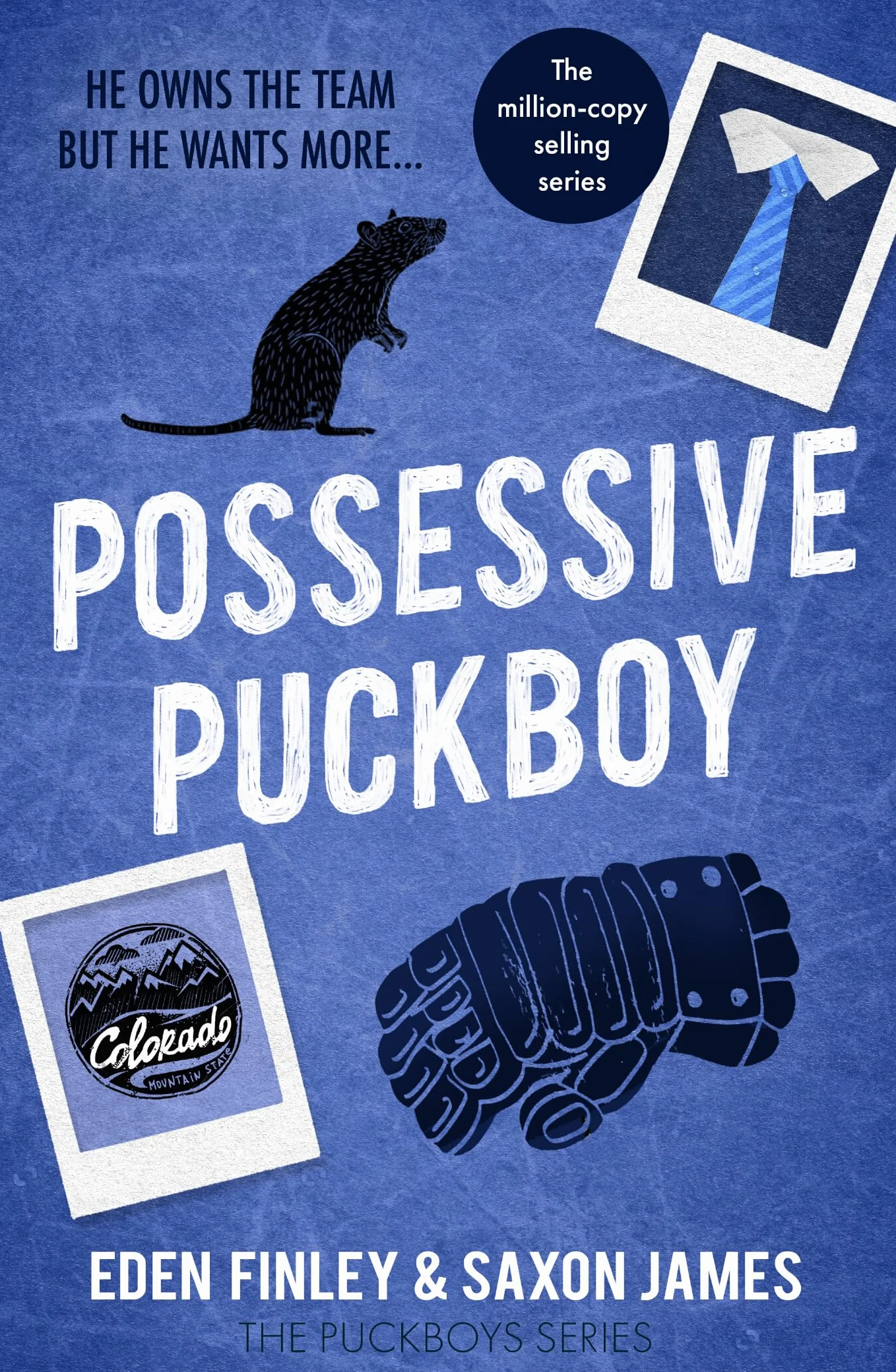 Possessive Puckboy: A forbidden bully ice hockey romance