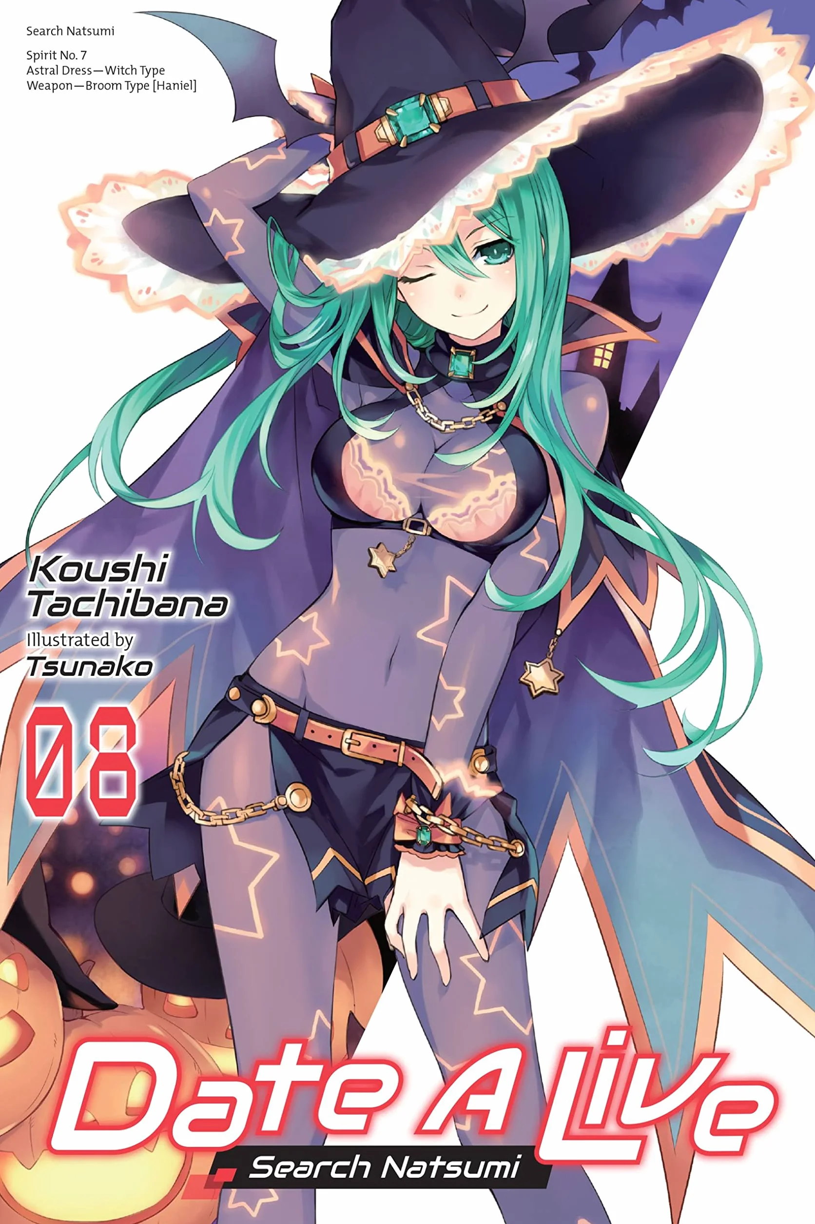 Date a Live, Vol. 8 (Light Novel): Search Natsumi Volume 8