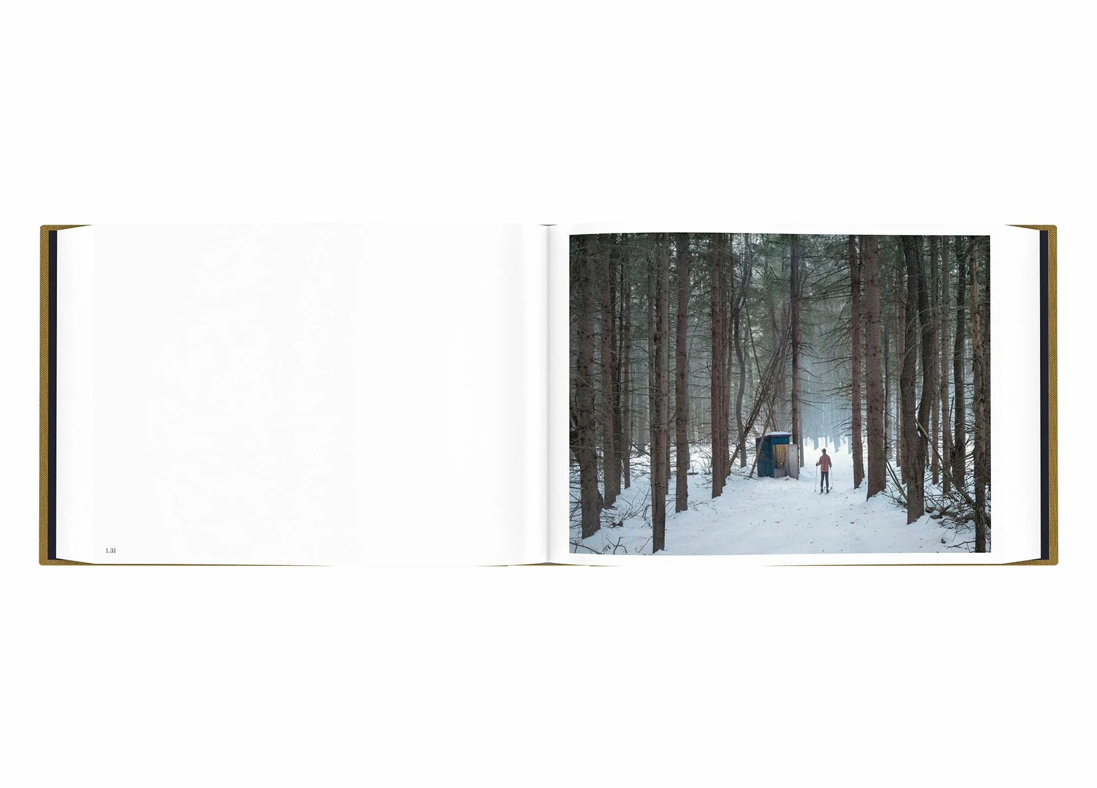 Gregory Crewdson Alone Street /anglais