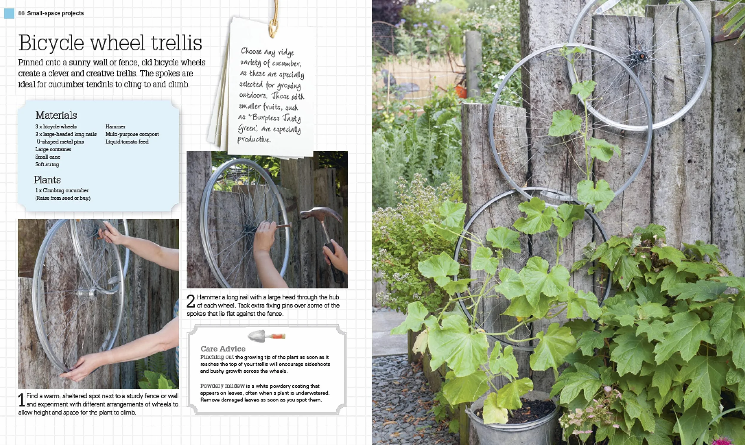 Grow All You Can Eat In Three Square Feet: Inventive Ideas for Growing Food in a Small Space