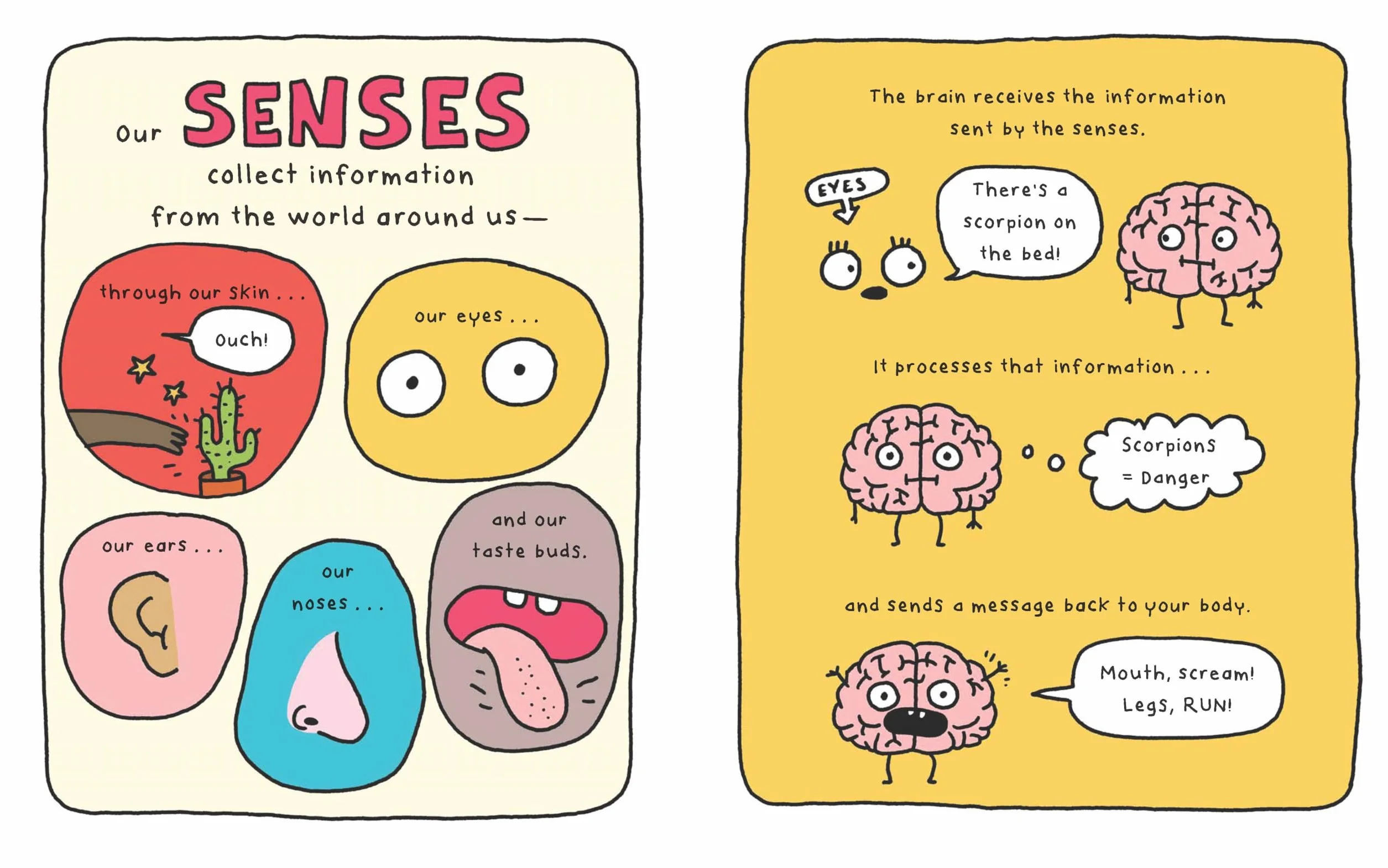 This Is My Brain!: A Book on Neurodiversity