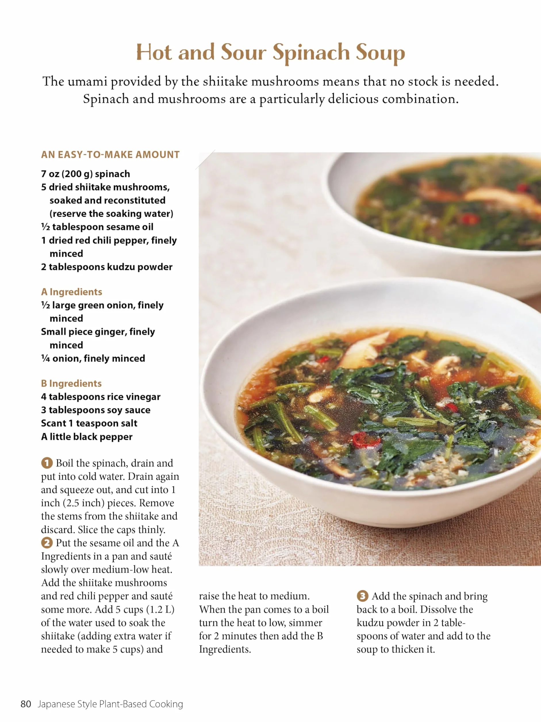 Japanese Style Plant-Based Cooking: Amazing Vegan Recipes from Japan's Leading Macrobiotic Chef and Food Writer