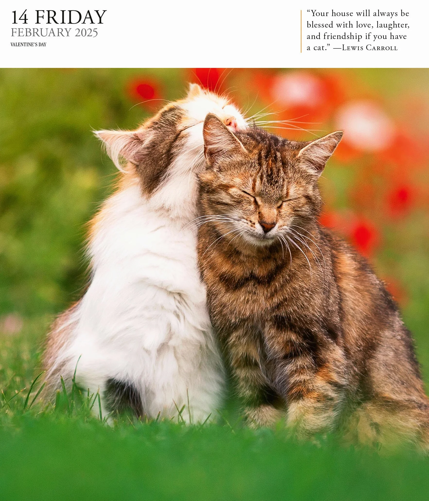Cat Page-A-Day® Gallery Calendar 2025: A Delightful Gallery of Cats for Your Desktop