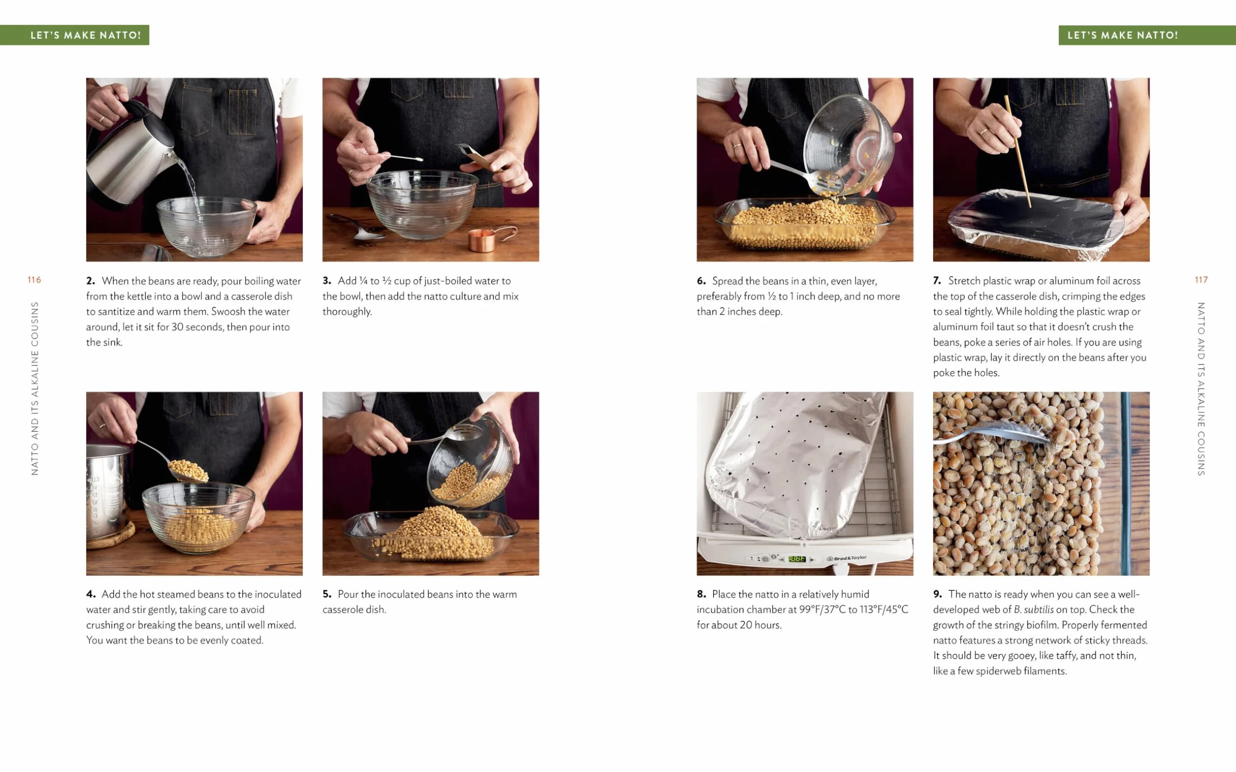 Miso, Tempeh, Natto & Other Tasty Ferments: A Step-By-Step Guide to Fermenting Grains and Beans