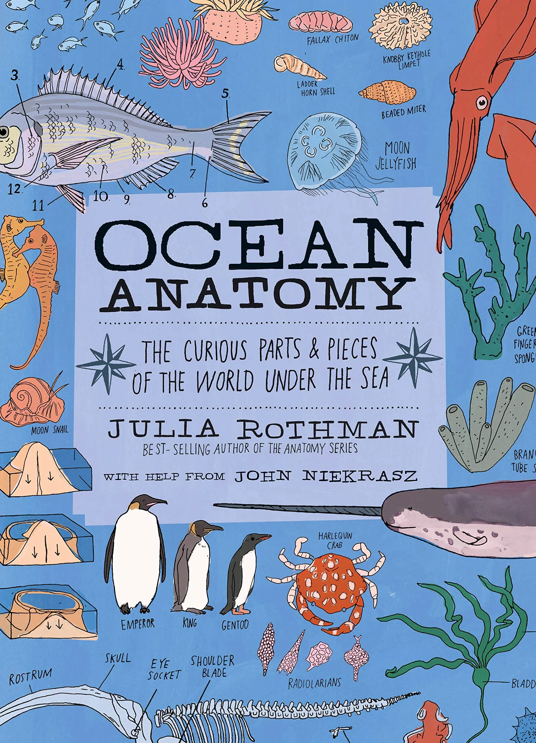 Ocean Anatomy: The Curious Parts & Pieces of the World Under the Sea: 1