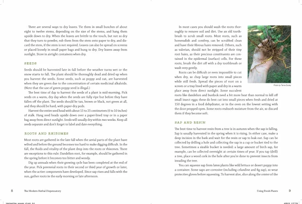 The Modern Herbal Dispensatory: A Medicine-Making Guide