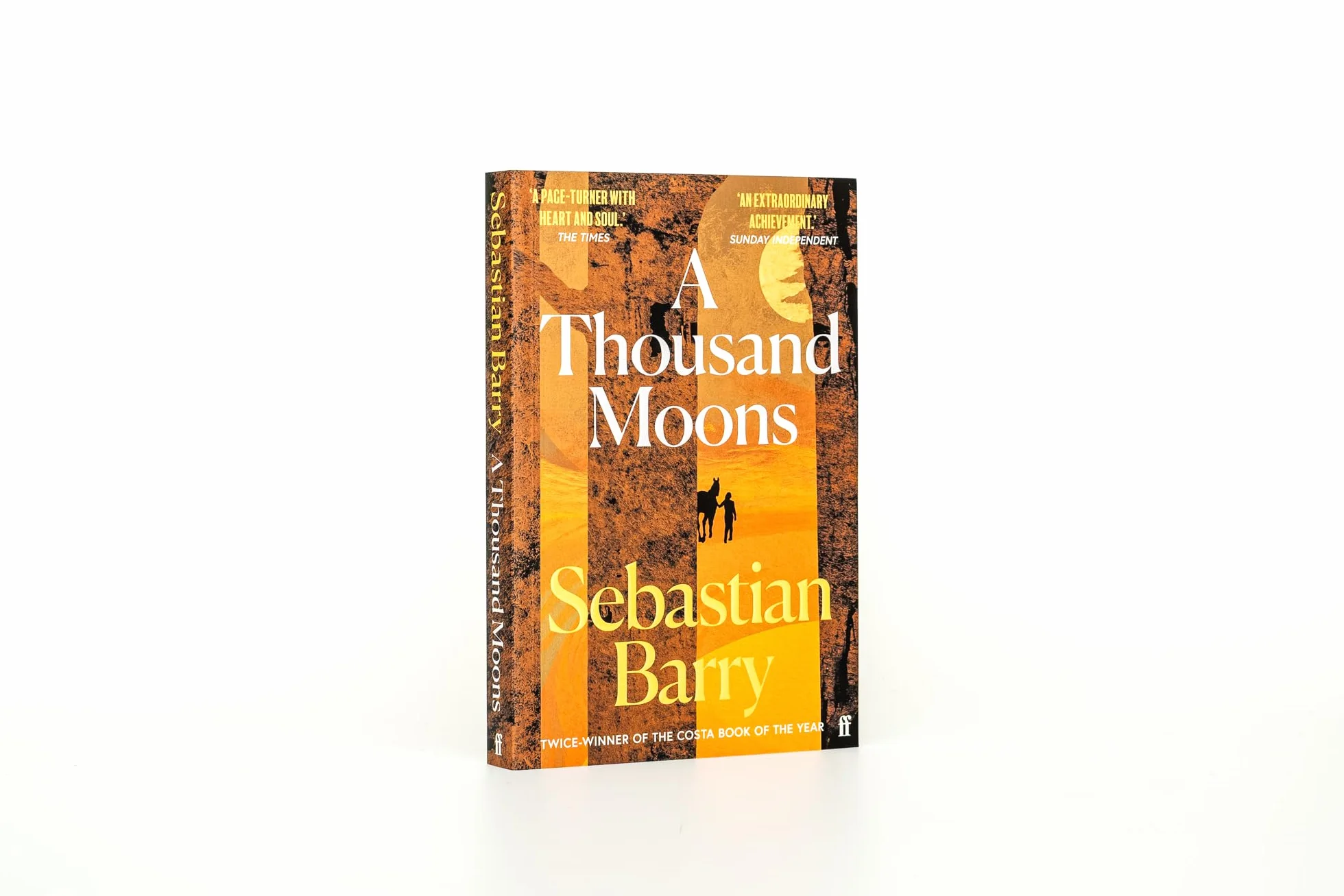 A Thousand Moons: a novel