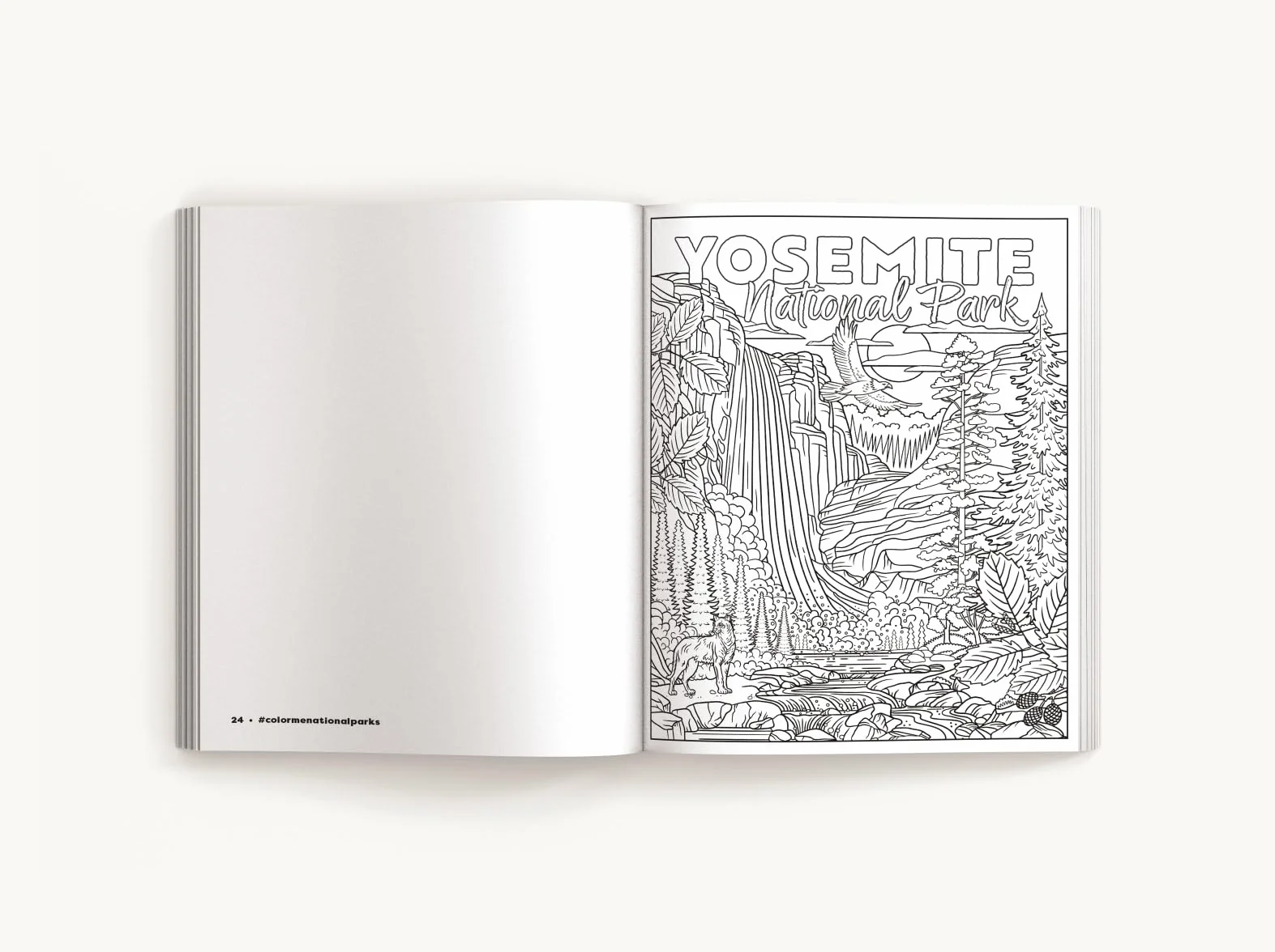 Color Me National Parks: An Adventurous Coloring Book