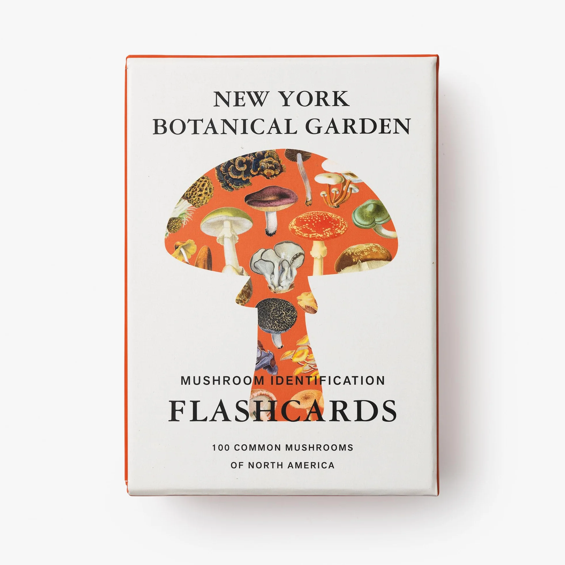 New York Botanical Garden Mushroom Identification Flashcards: 100 Common Mushrooms of North America