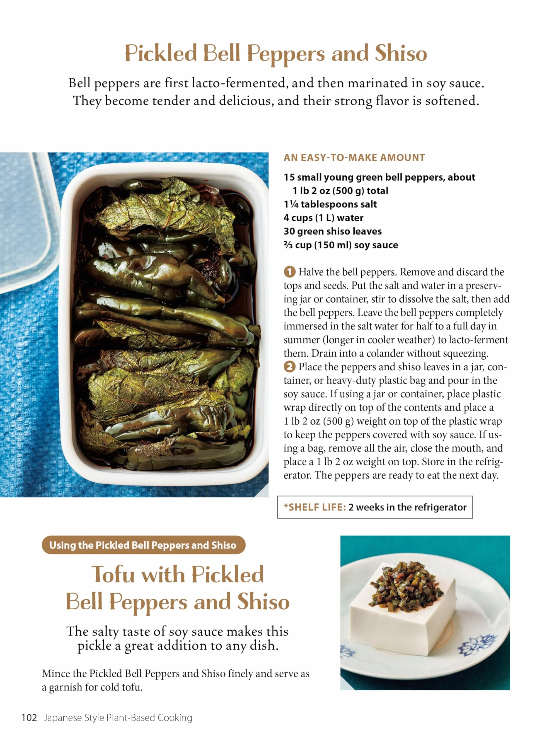 Japanese Style Plant-Based Cooking: Amazing Vegan Recipes from Japan's Leading Macrobiotic Chef and Food Writer