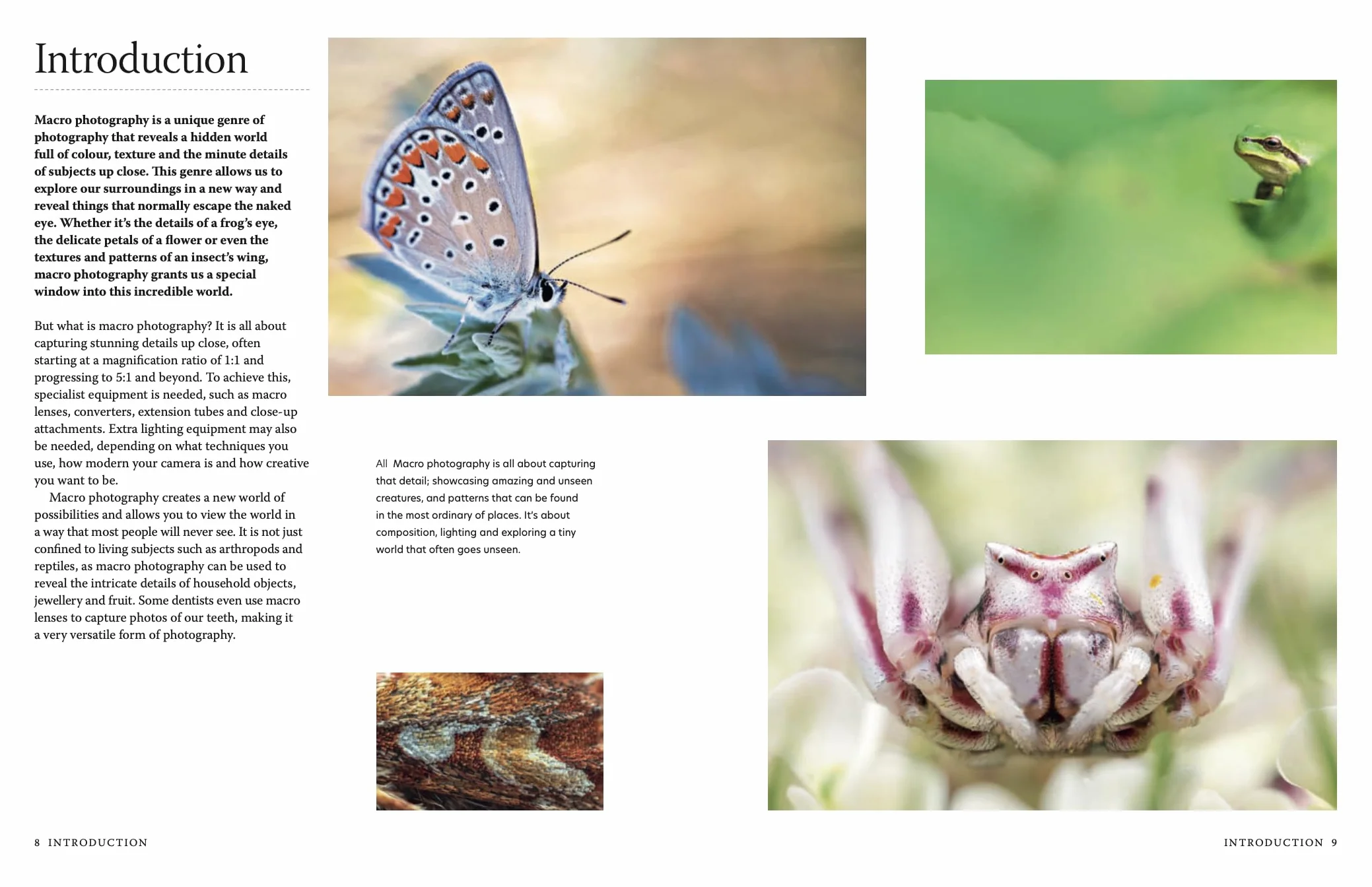 Close-Up: The Complete Guide to Macro Photography
