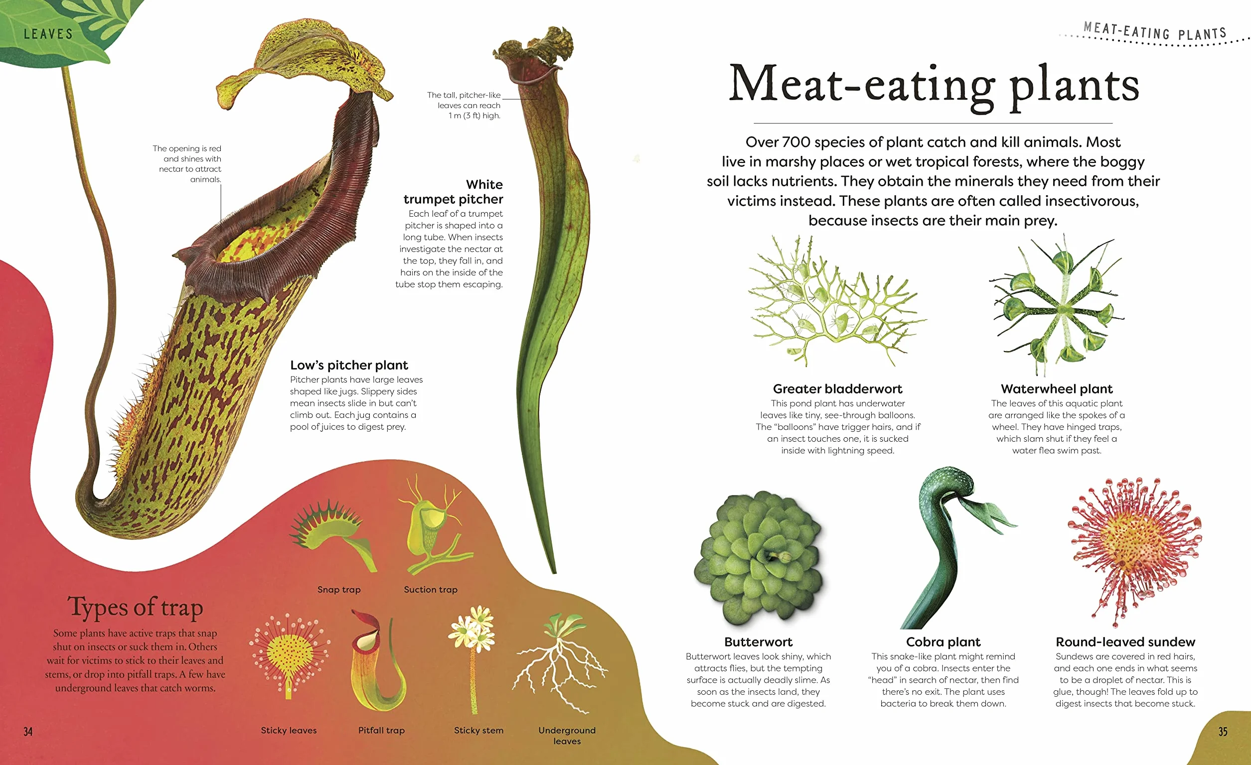 The Secret World of Plants: Tales of More Than 100 Remarkable Flowers, Trees, and Seeds