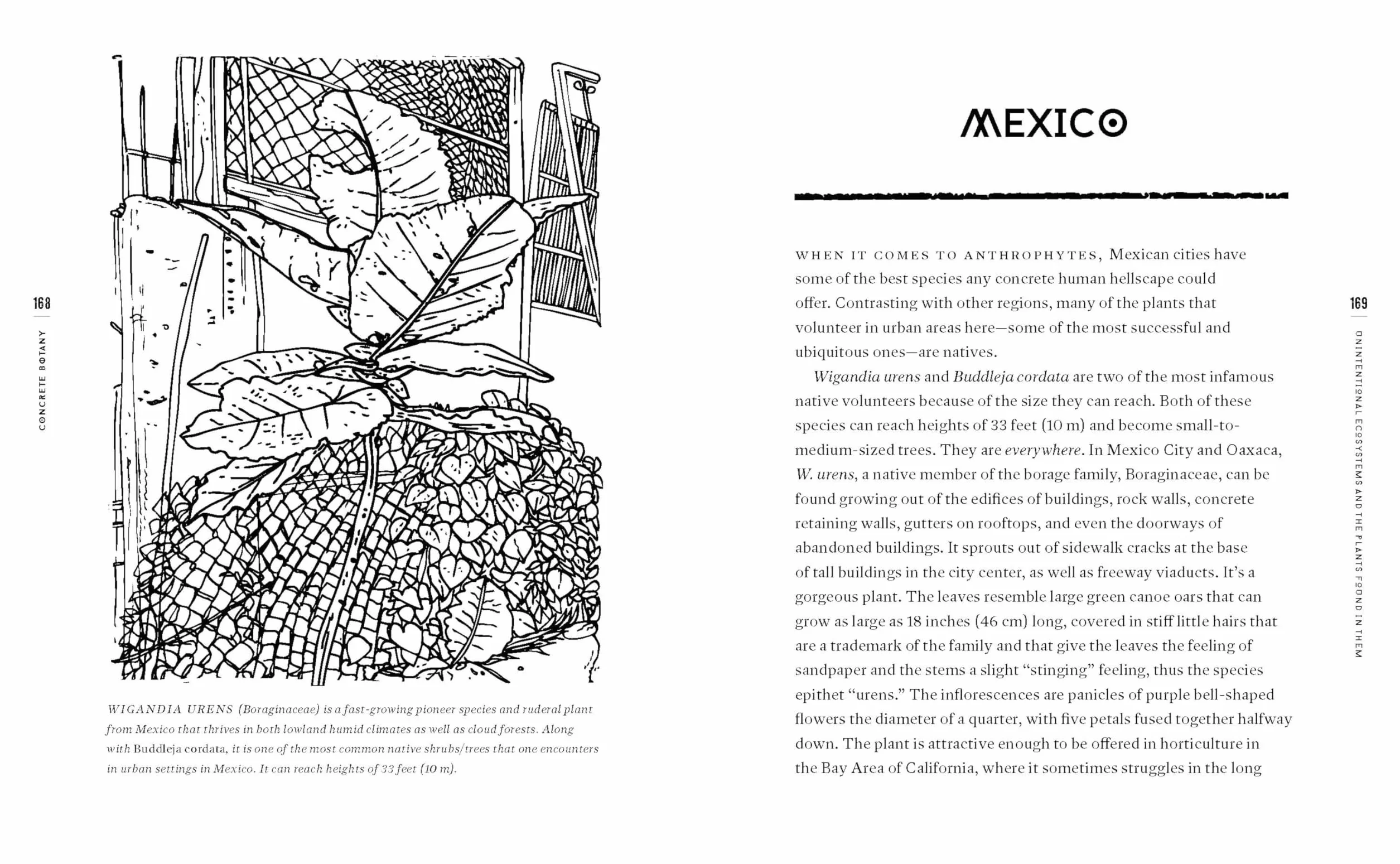 Concrete Botany: The Ecology of Plants in the Age of Human Disturbance