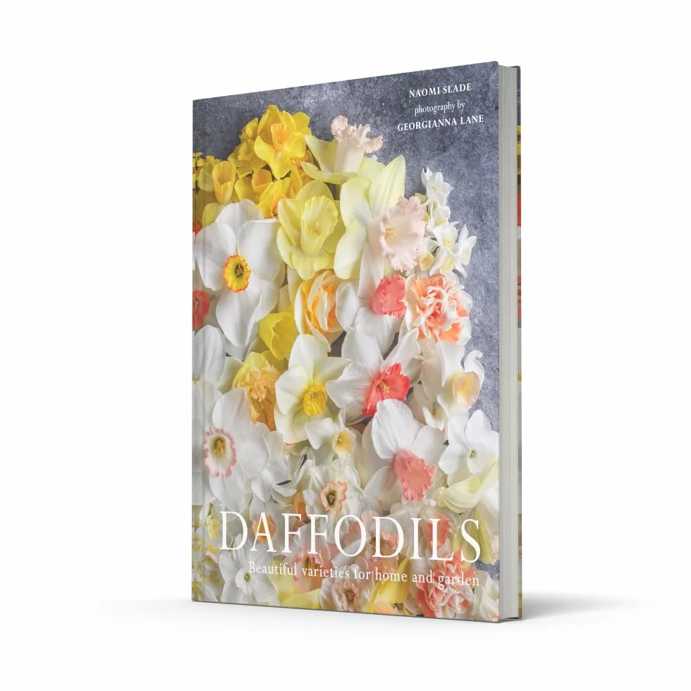 Daffodils: The ultimate guide for growing, flowering and cutting beautiful narcissi varieties for daffodils at home and in the garden
