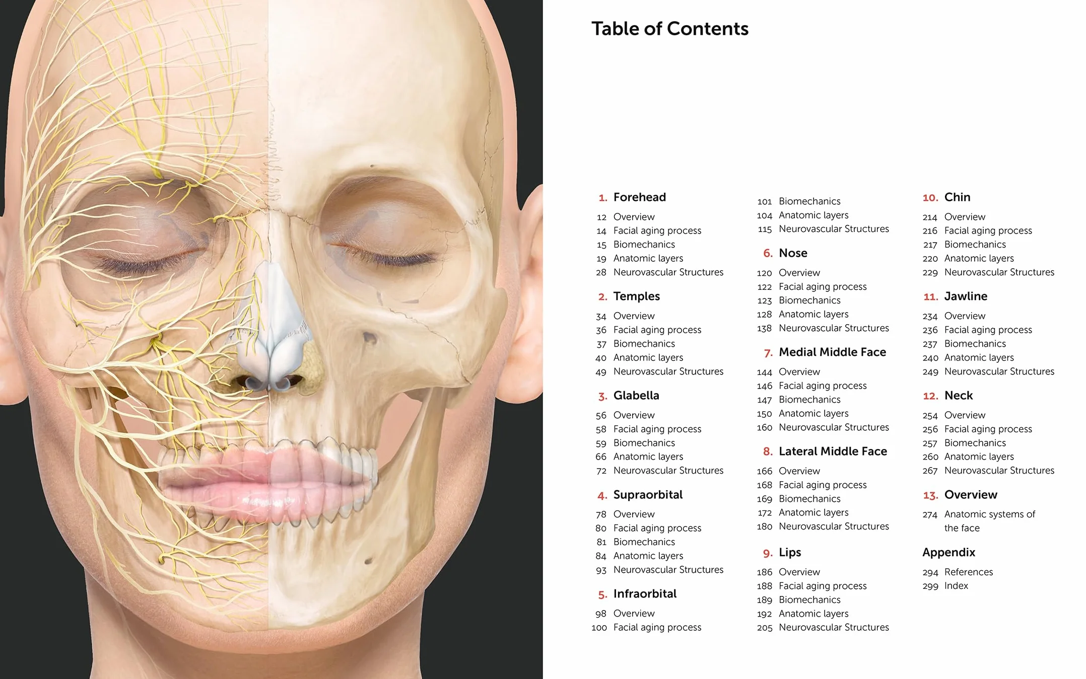 Facial Anatomy: Layer by Layer