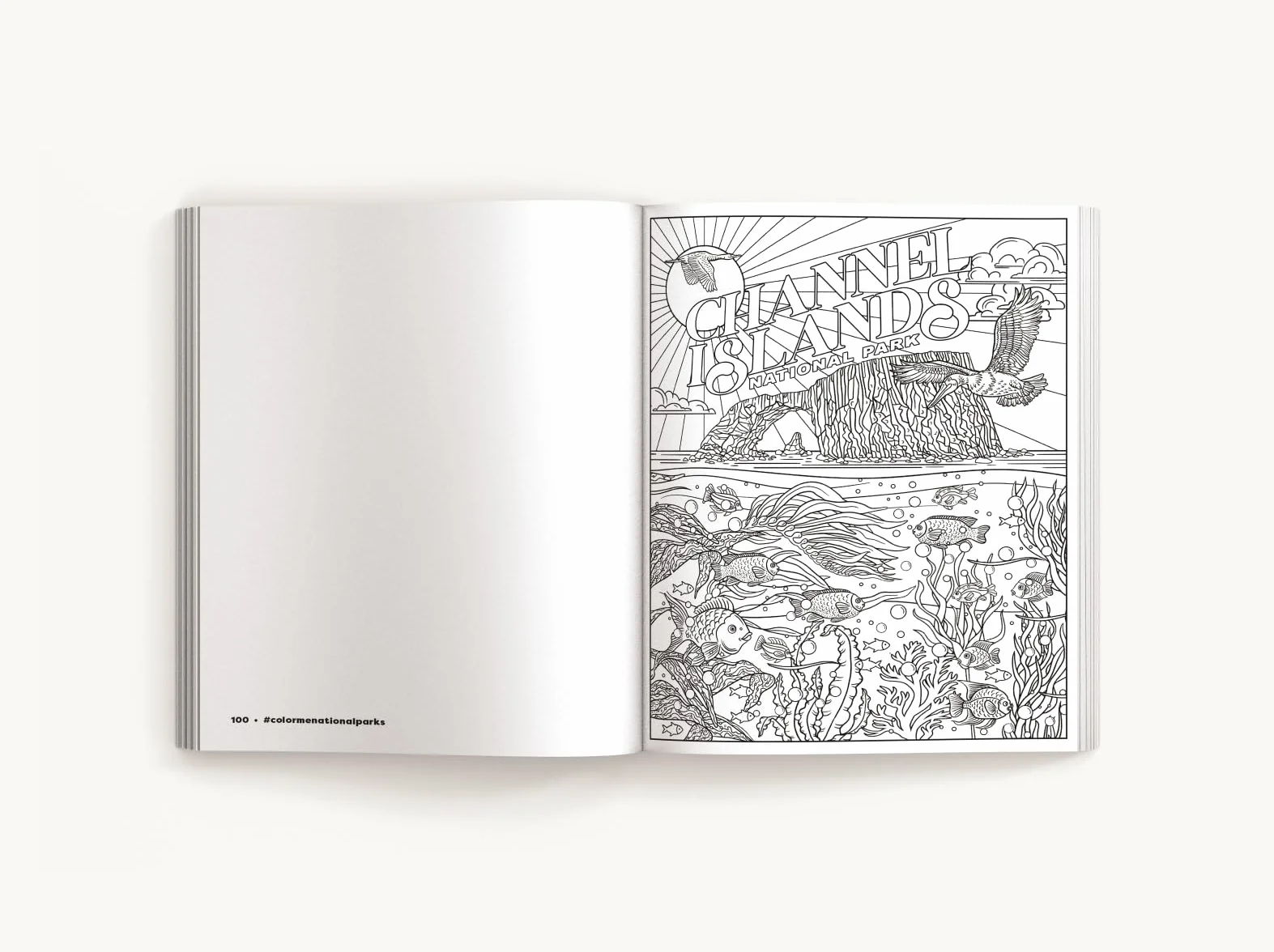 Color Me National Parks: An Adventurous Coloring Book