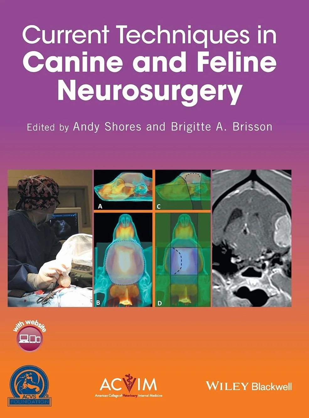 Current Techniques in Canine and Feline Neurosurgery