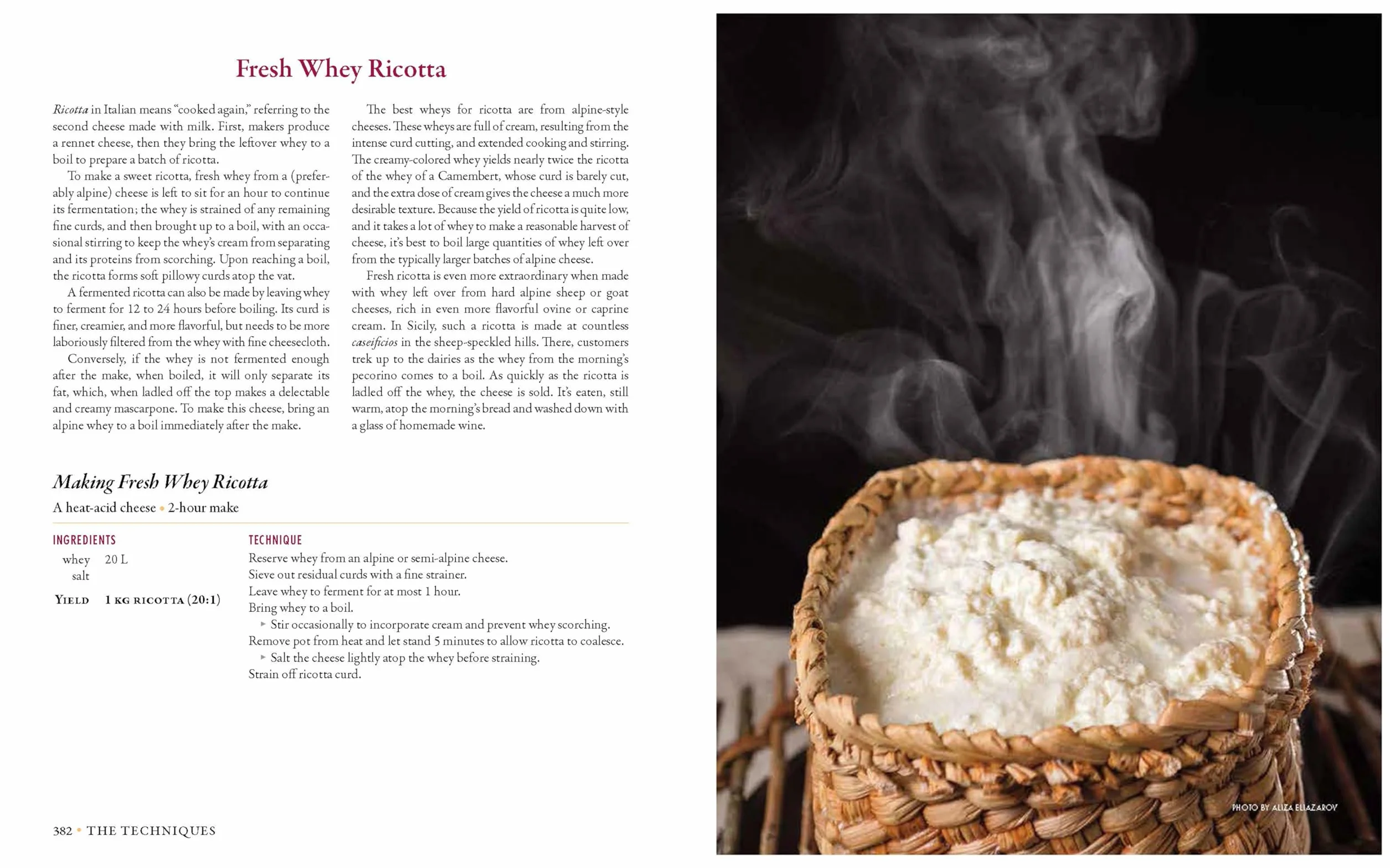 Milk Into Cheese: The Foundations of Natural Cheesemaking Using Traditional Concepts, Tools, and Techniques