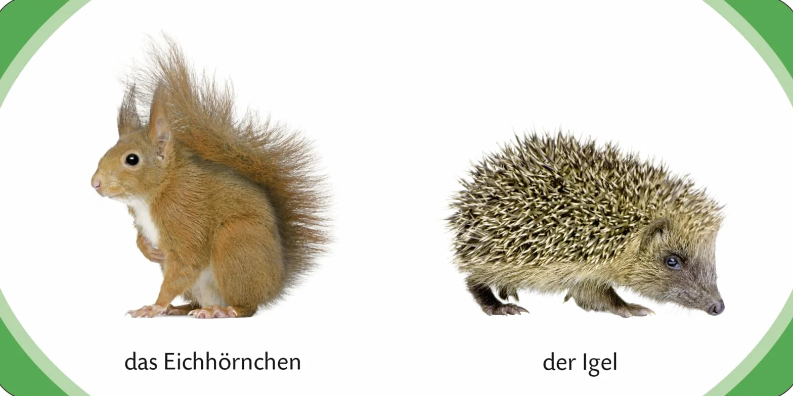 Kennst du das? Meine kleine Tierwelt (Würfel): ab 12 Monaten: 13