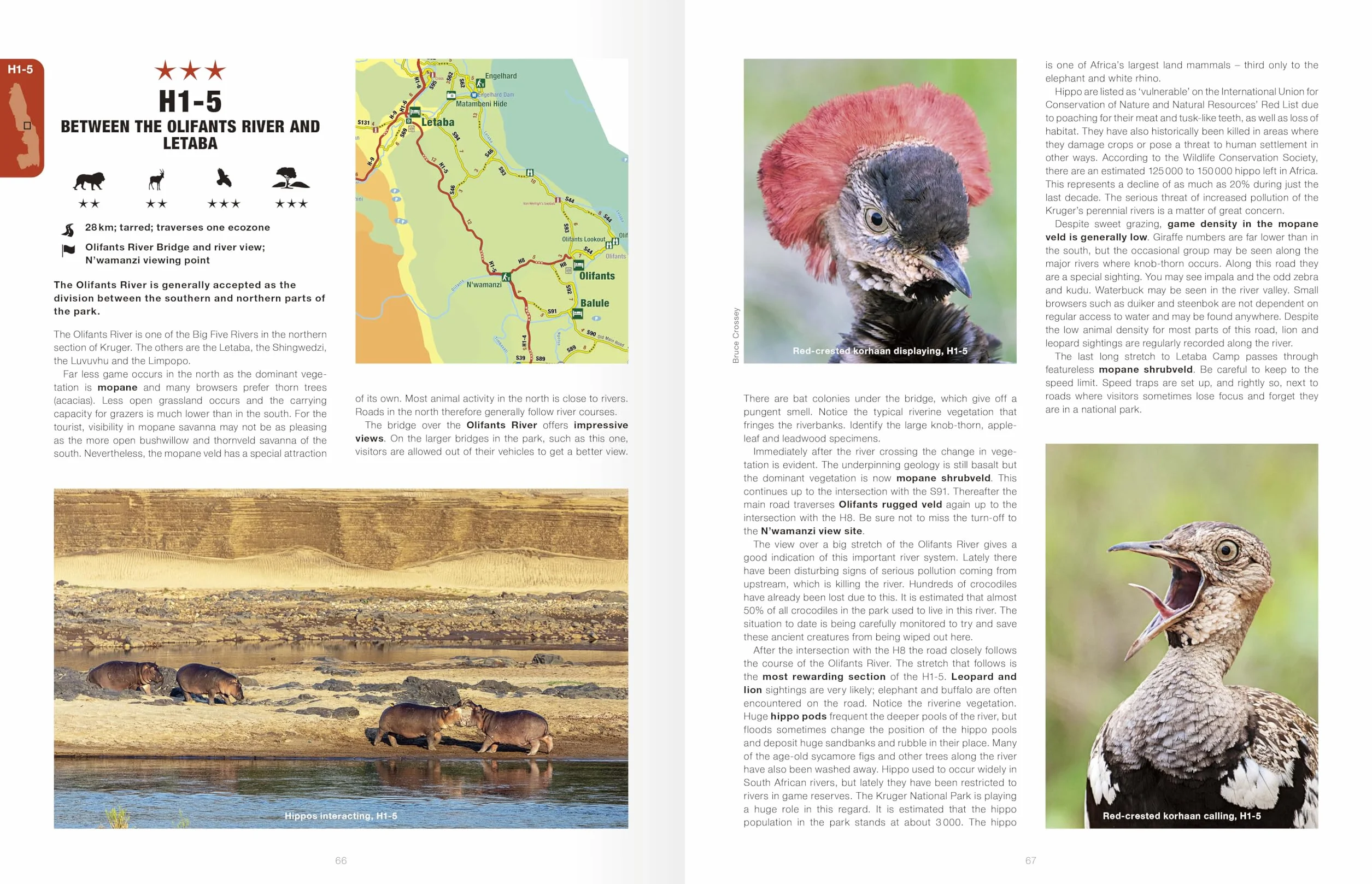Kruger Self-Drive: Second Edition: Routes, Roads & Ratings