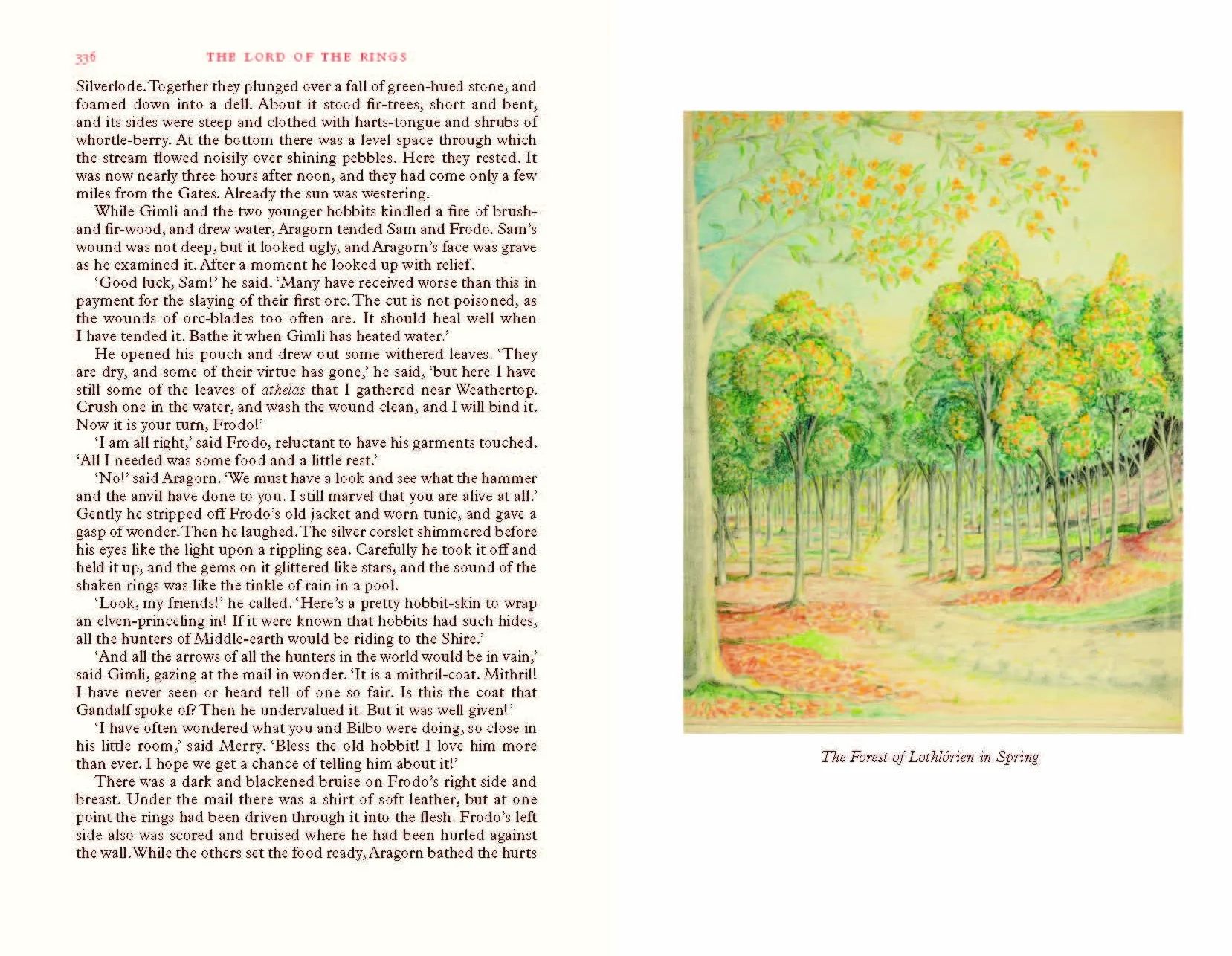 The Lord of the Rings Deluxe Illustrated by the Author: Special Edition