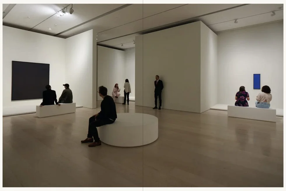 Ad Reinhardt: Color Out of Darkness /anglais: Curated by James Turrell