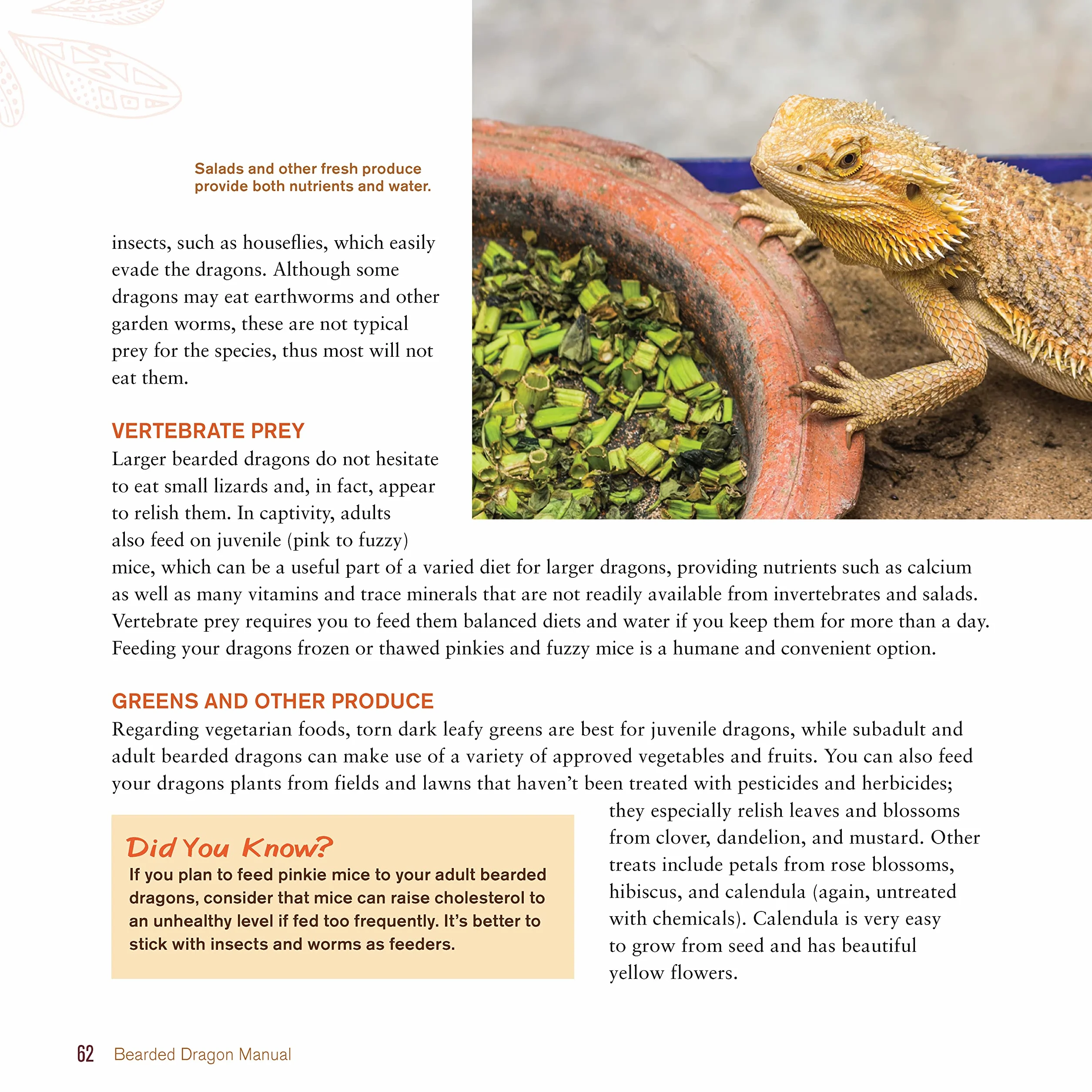 Bearded Dragon Manual, 3rd Edition: Expert Advice for Keeping and Caring for a Healthy Bearded Dragon