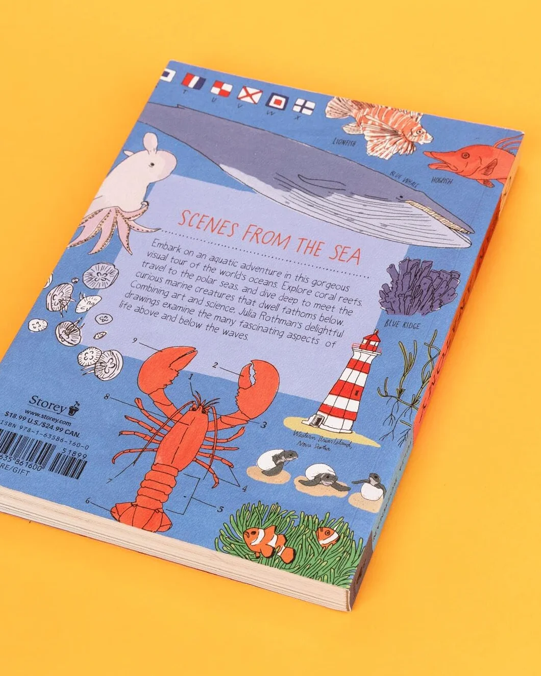 Ocean Anatomy: The Curious Parts & Pieces of the World Under the Sea: 1