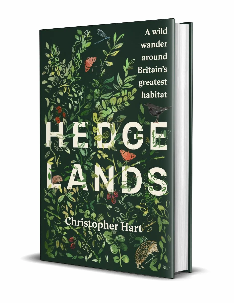 Hedgelands: A wild wander around Britain’s greatest habitat