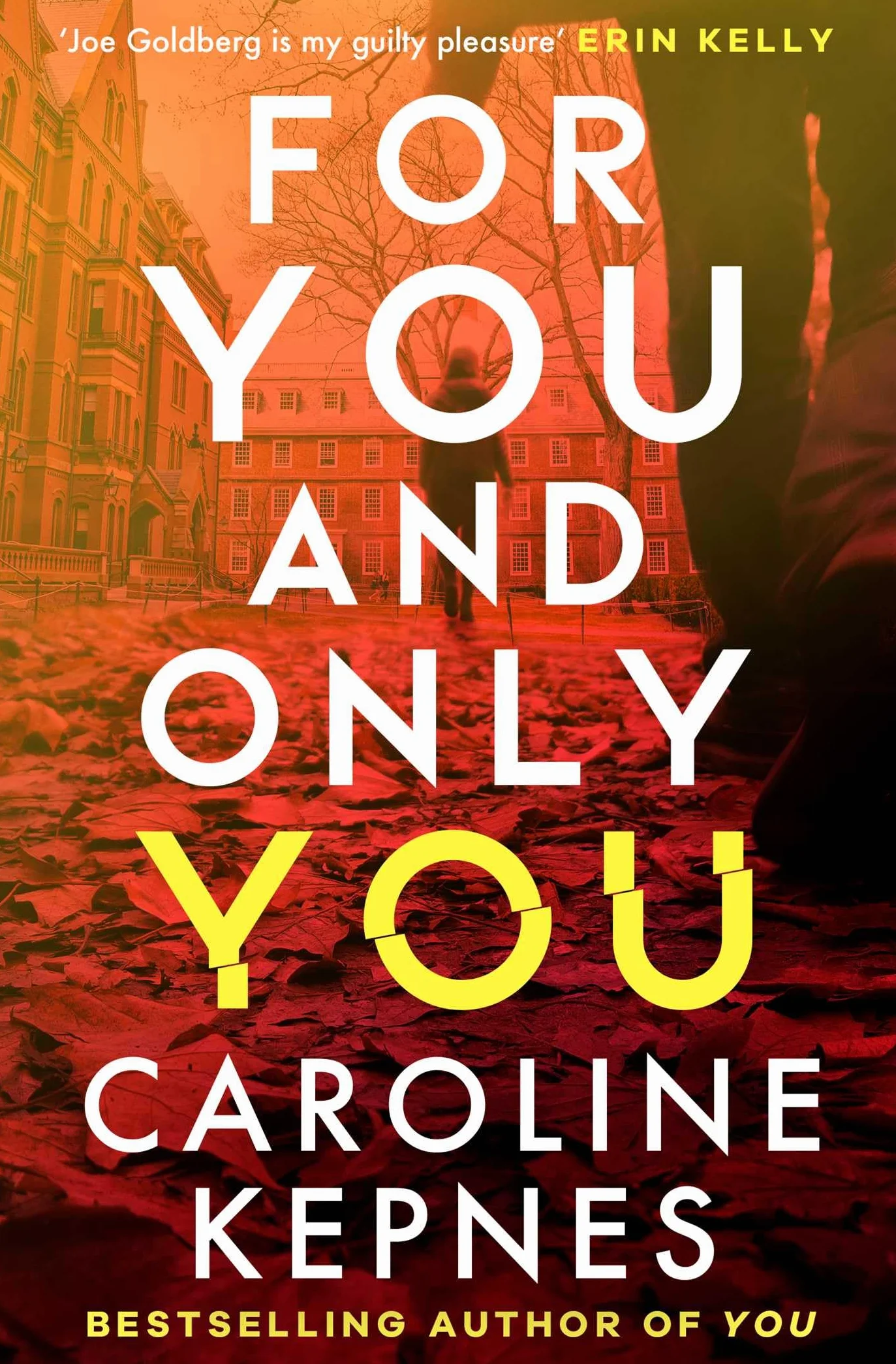 For you and only you: The addictive new thriller in the YOU series, now a hit Netflix show