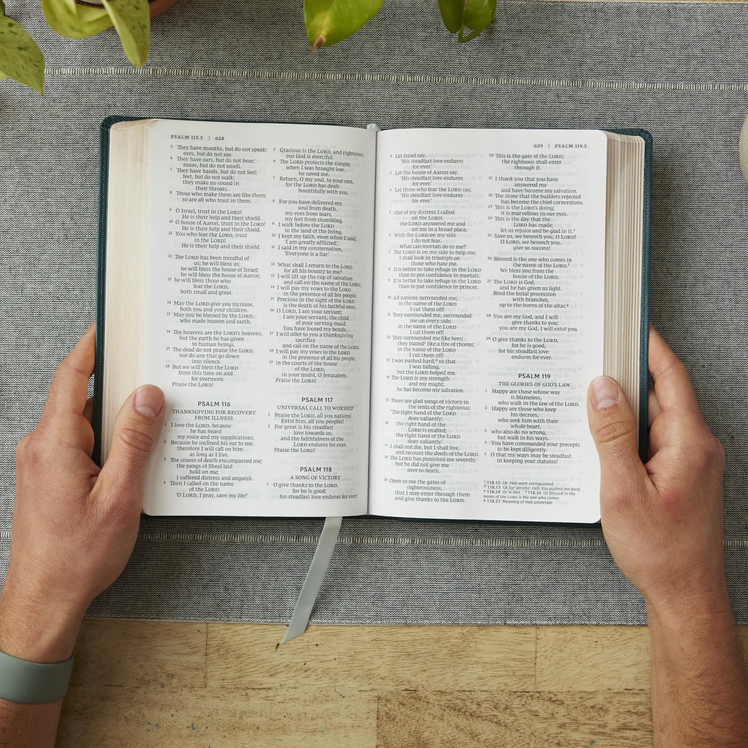 Nrsv, Catholic Bible, Gift Edition, Leathersoft, Brown, Comfort Print: Holy Bible