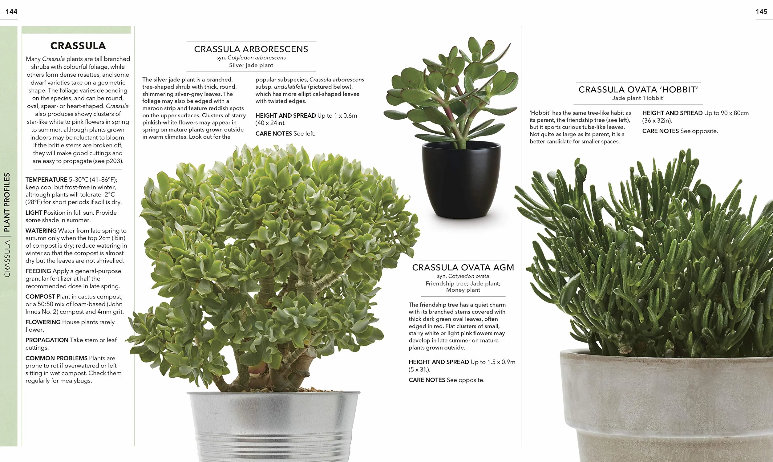RHS Practical Cactus and Succulent Book: How to Choose, Nurture, and Display more than 200 Cacti and Succulents