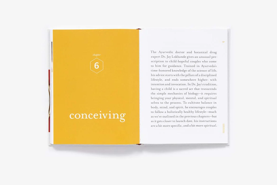 Awakening Fertility: The Essential Art of Preparing for Pregnancy