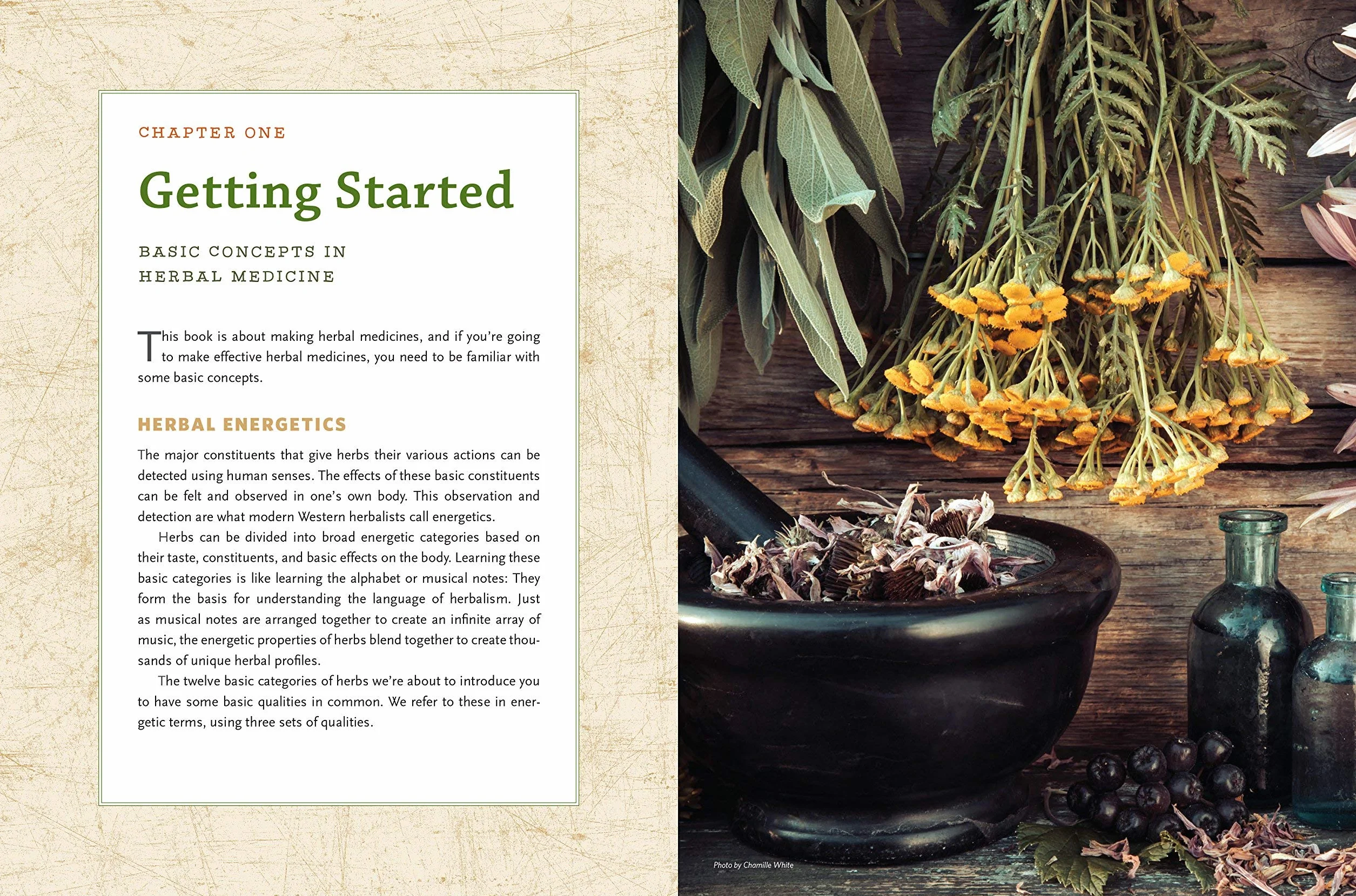 The Modern Herbal Dispensatory: A Medicine-Making Guide